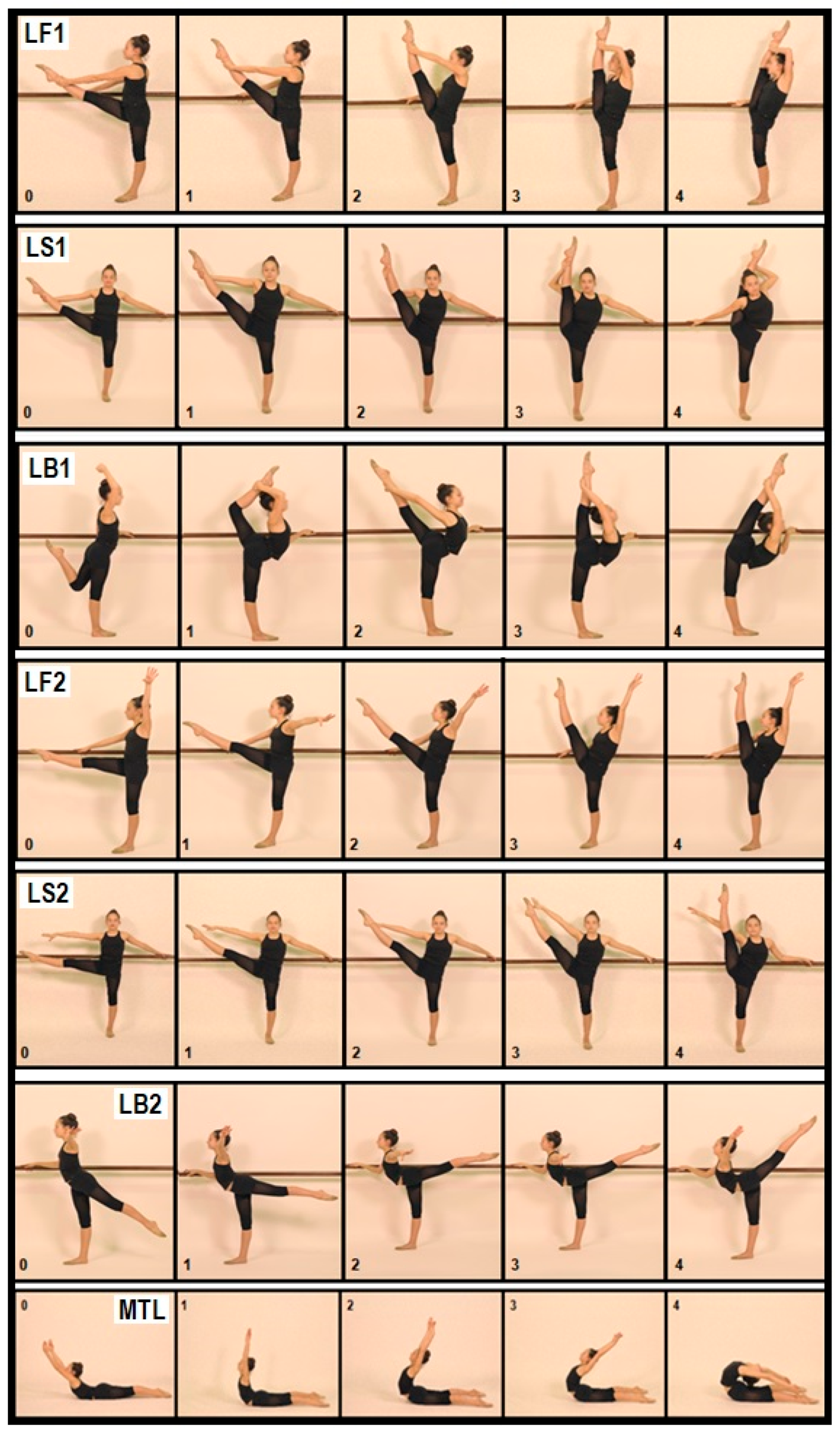 Leg Stretching Strap and Ballet Balance Board, 2 Pc. Set