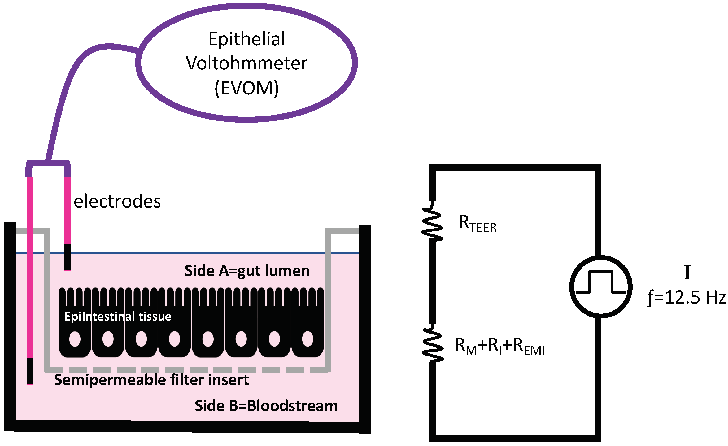 Ijerph 19 09362 g003