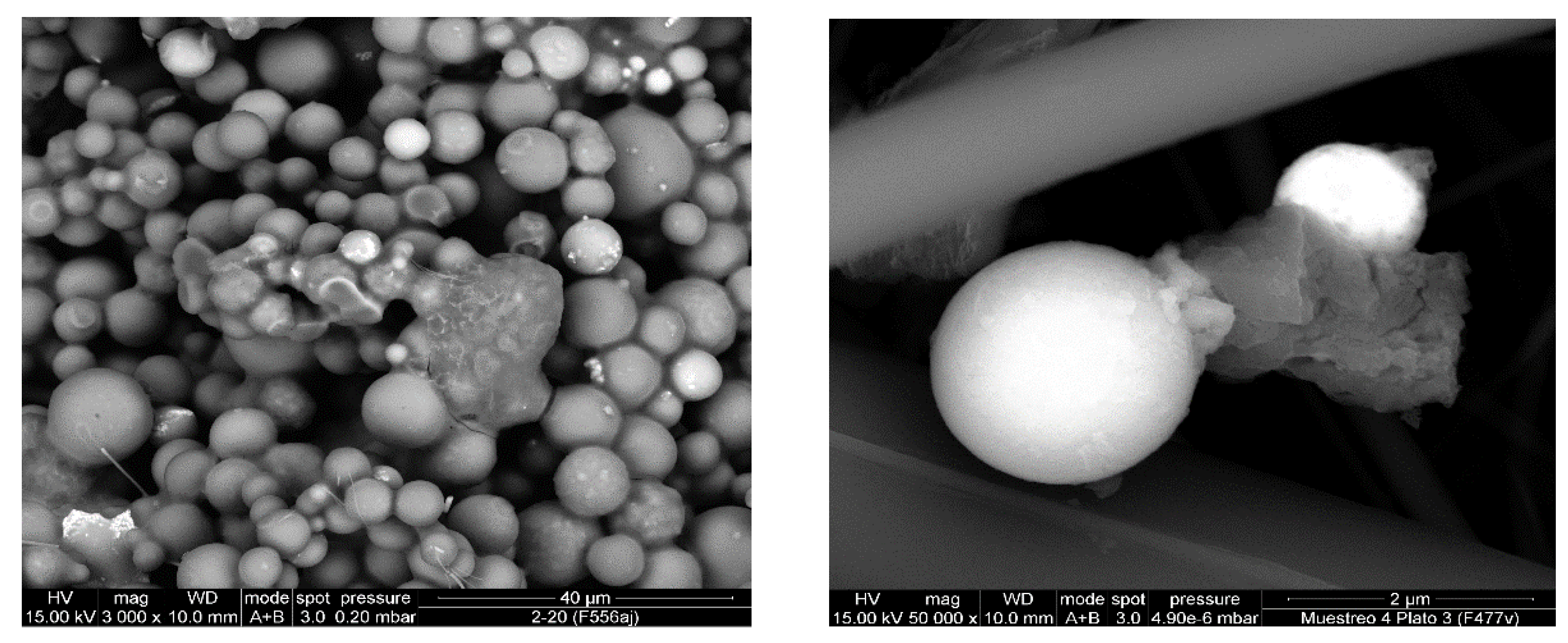 Ijerph 19 09652 g009