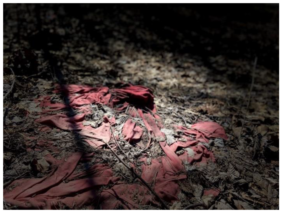 Ijerph 19 09799 g001