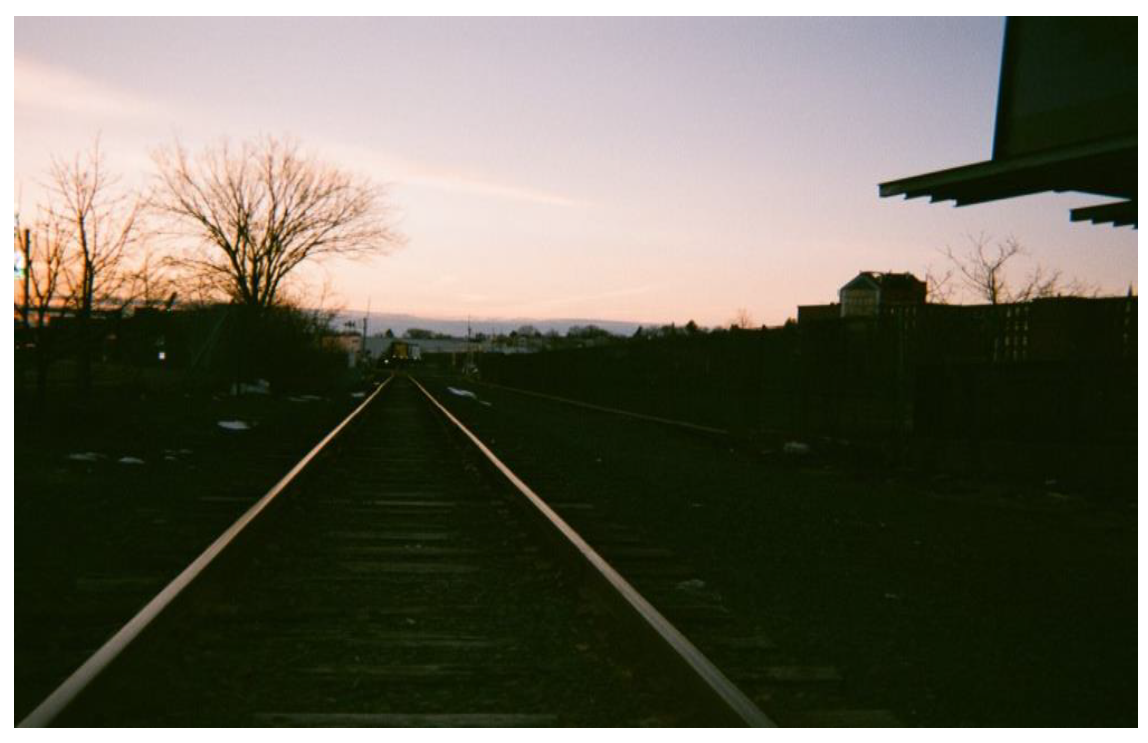 Ijerph 19 09799 g002