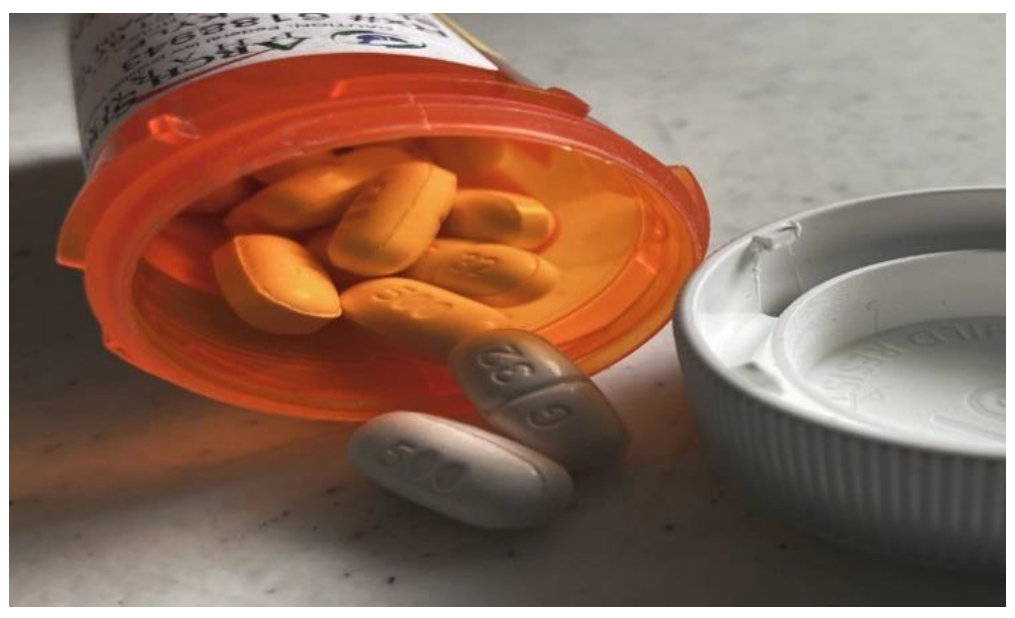 Ijerph 19 09799 g004