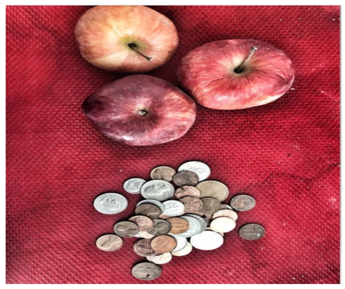 Ijerph 19 09799 g006