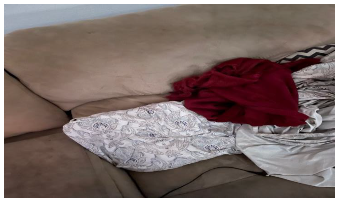 Ijerph 19 09799 g010