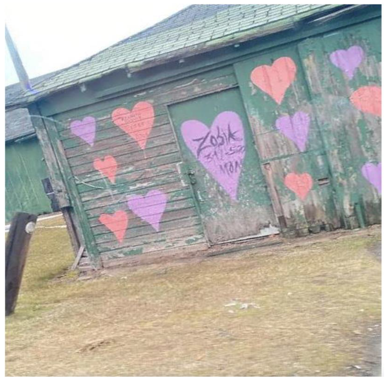 Ijerph 19 09799 g013