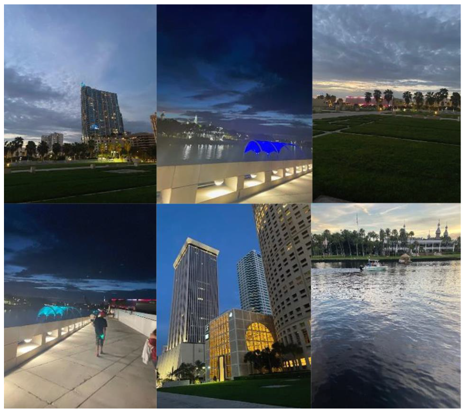 Ijerph 19 09799 g014