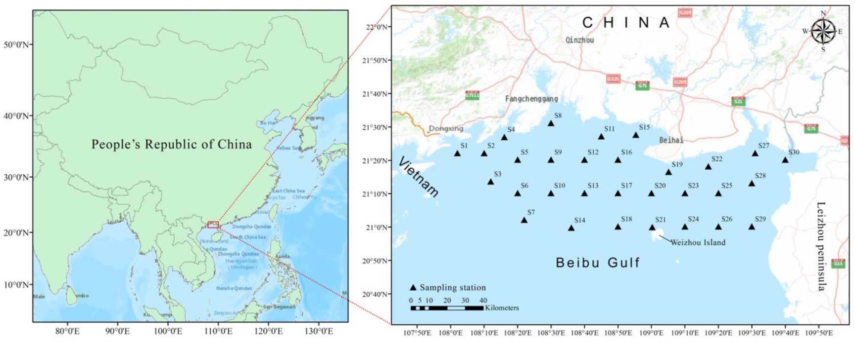 Ijerph 19 10205 g001
