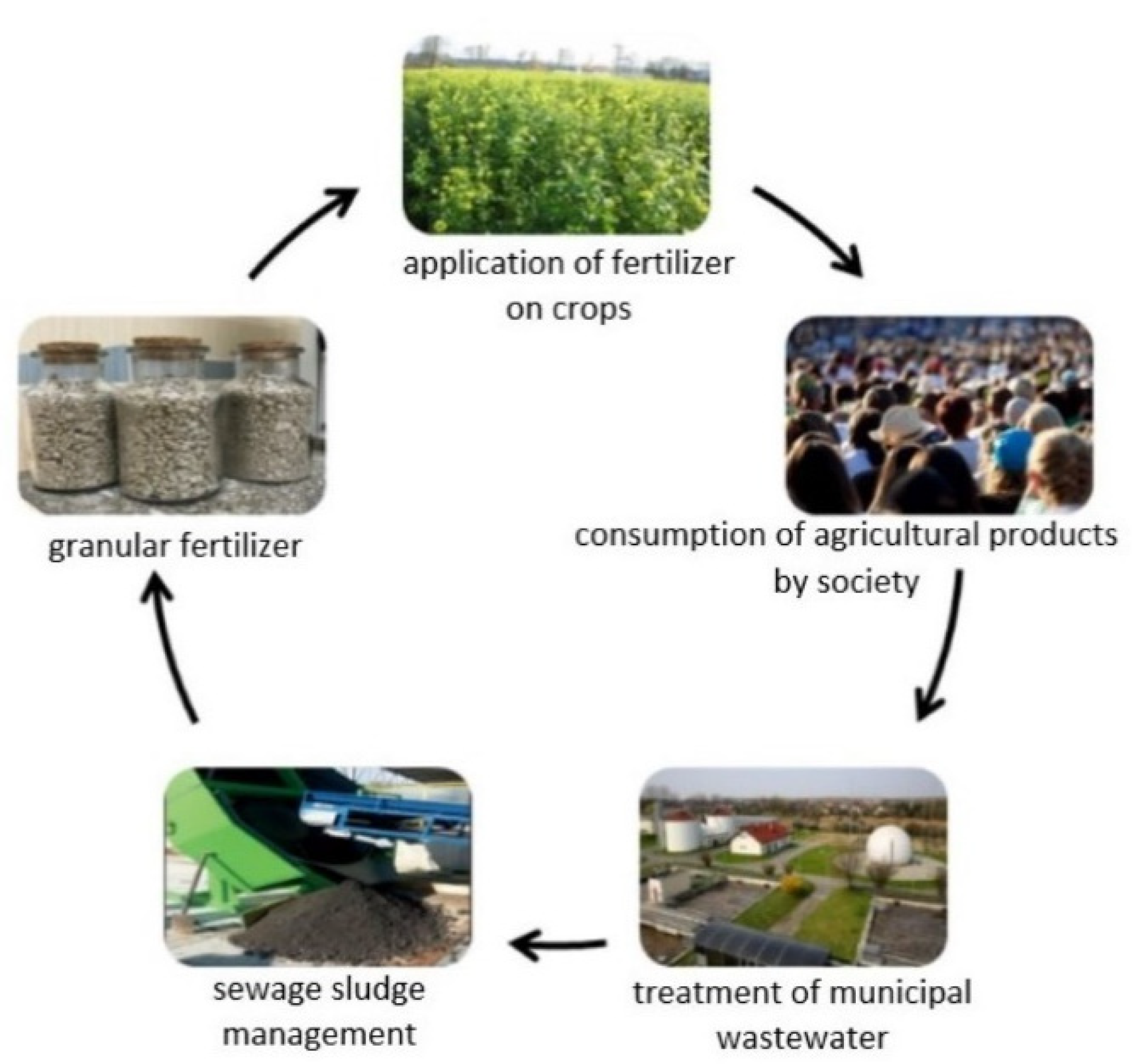 IJERPH | Free Full-Text | From Sewage Sludge to the Soil&mdash;Transfer of  Pharmaceuticals: A Review