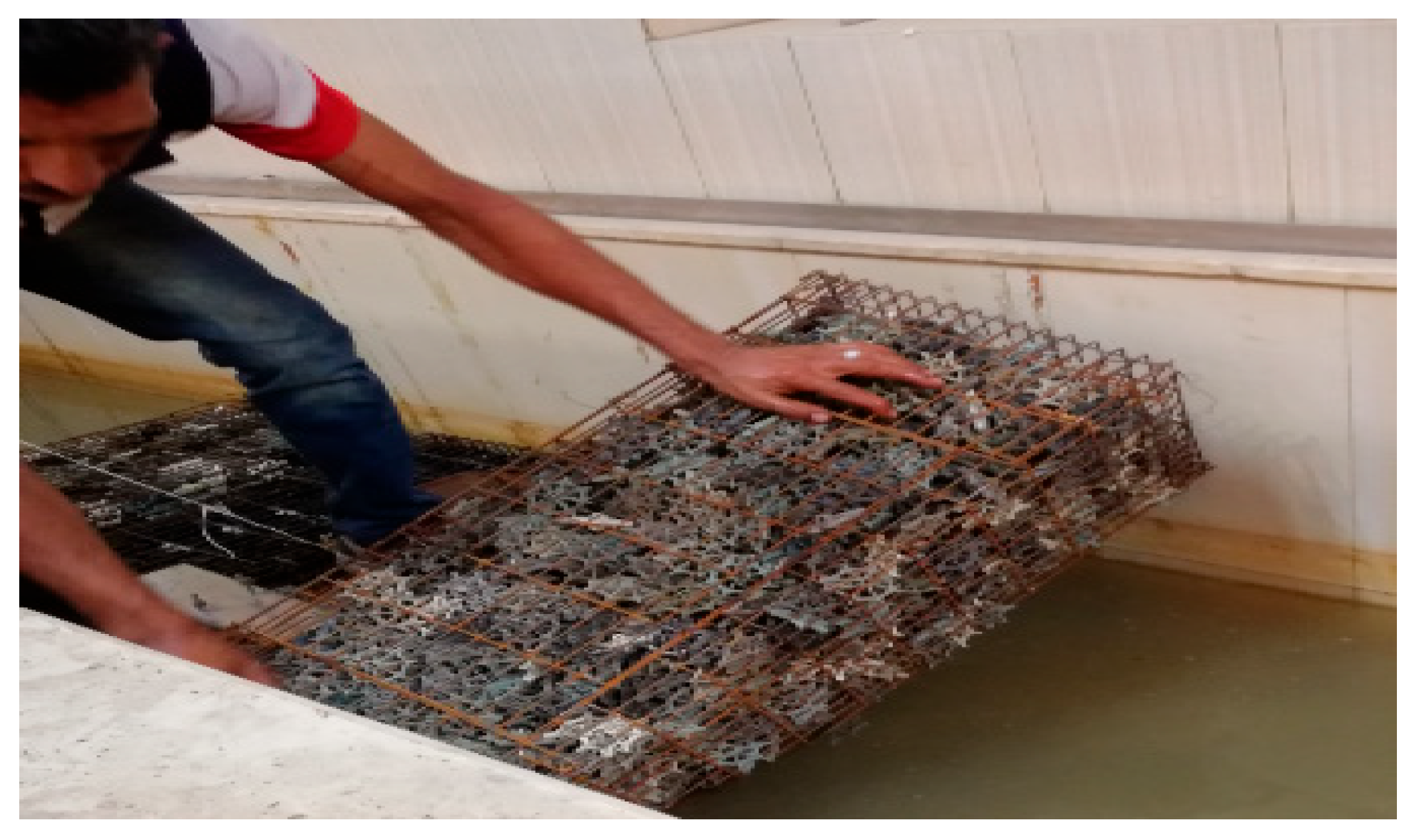 Ijerph 19 10324 g003