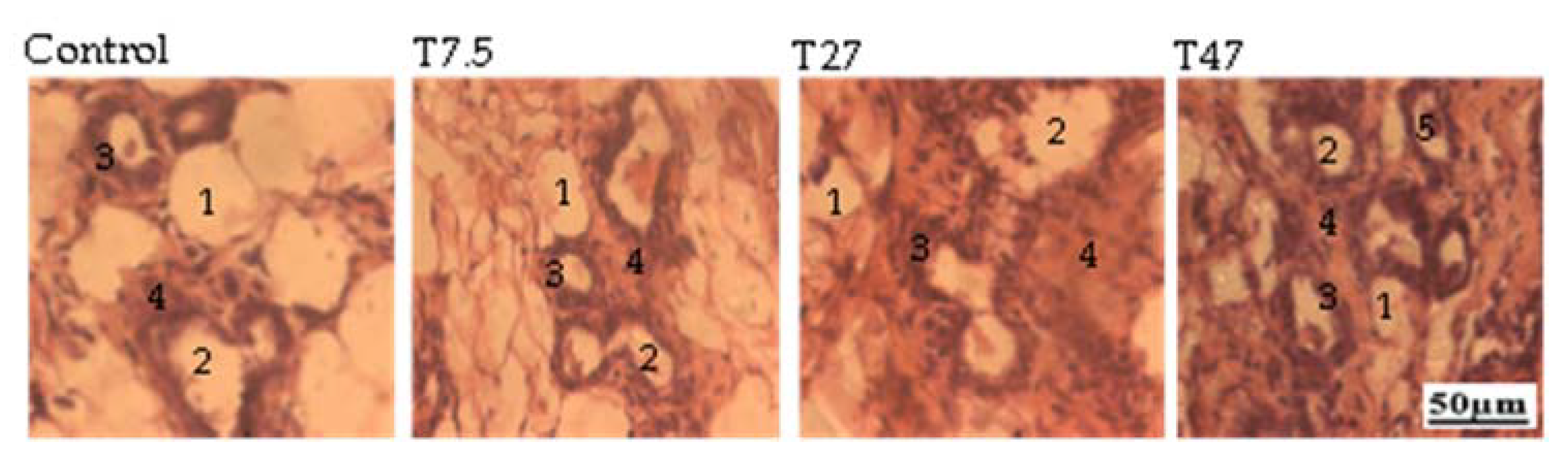 Ijerph Free Full Text Effects Of Tartrazine On Some Sexual Maturation Parameters In Immature