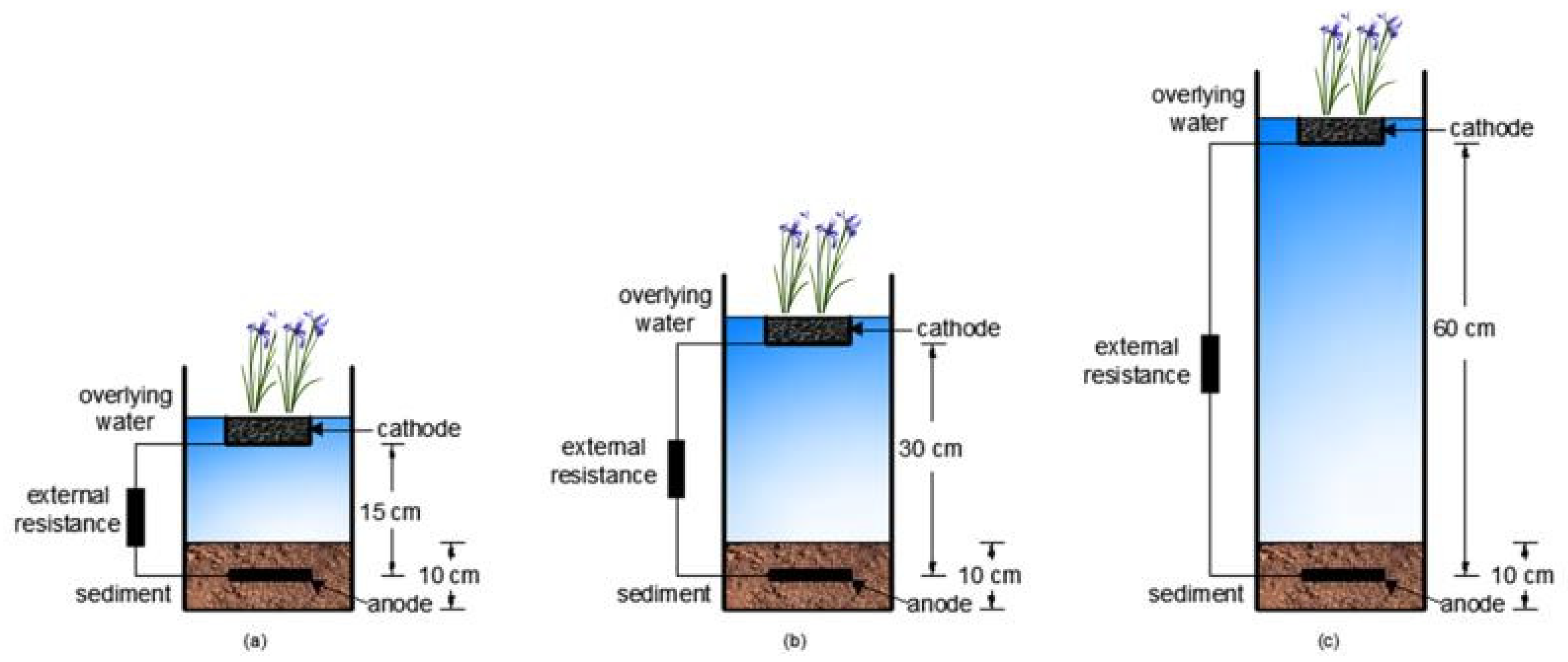 IJERPH | Free Full-Text | Effect of Electrode Distances on Remediation of  Eutrophic Water and Sediment by Sediment Microbial Fuel Cell Coupled  Floating Beds | HTML