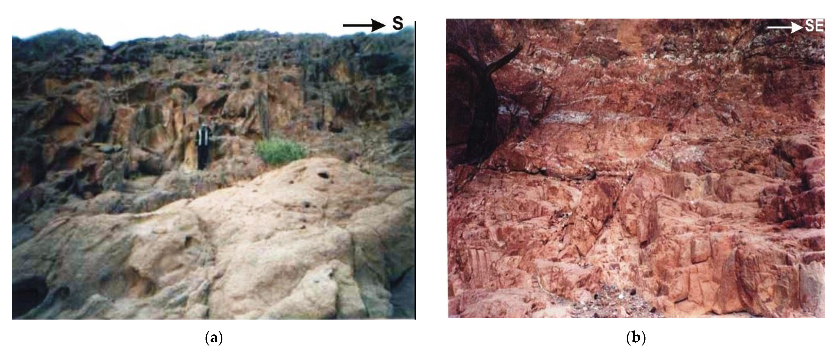 Ijerph 19 10717 g002