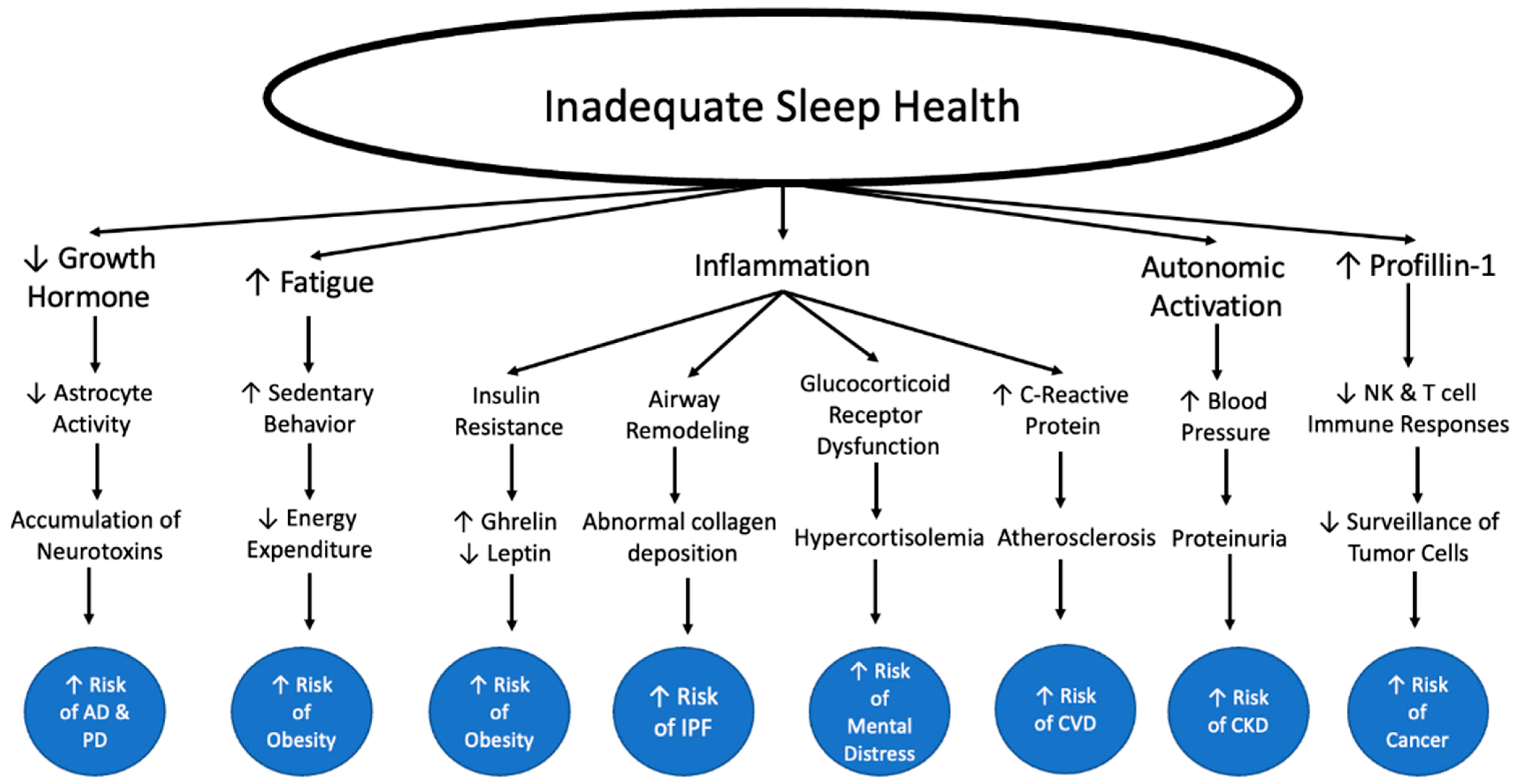 IJERPH | Free Full-Text | Healthy Sleep Every Day Keeps the Doctor Away