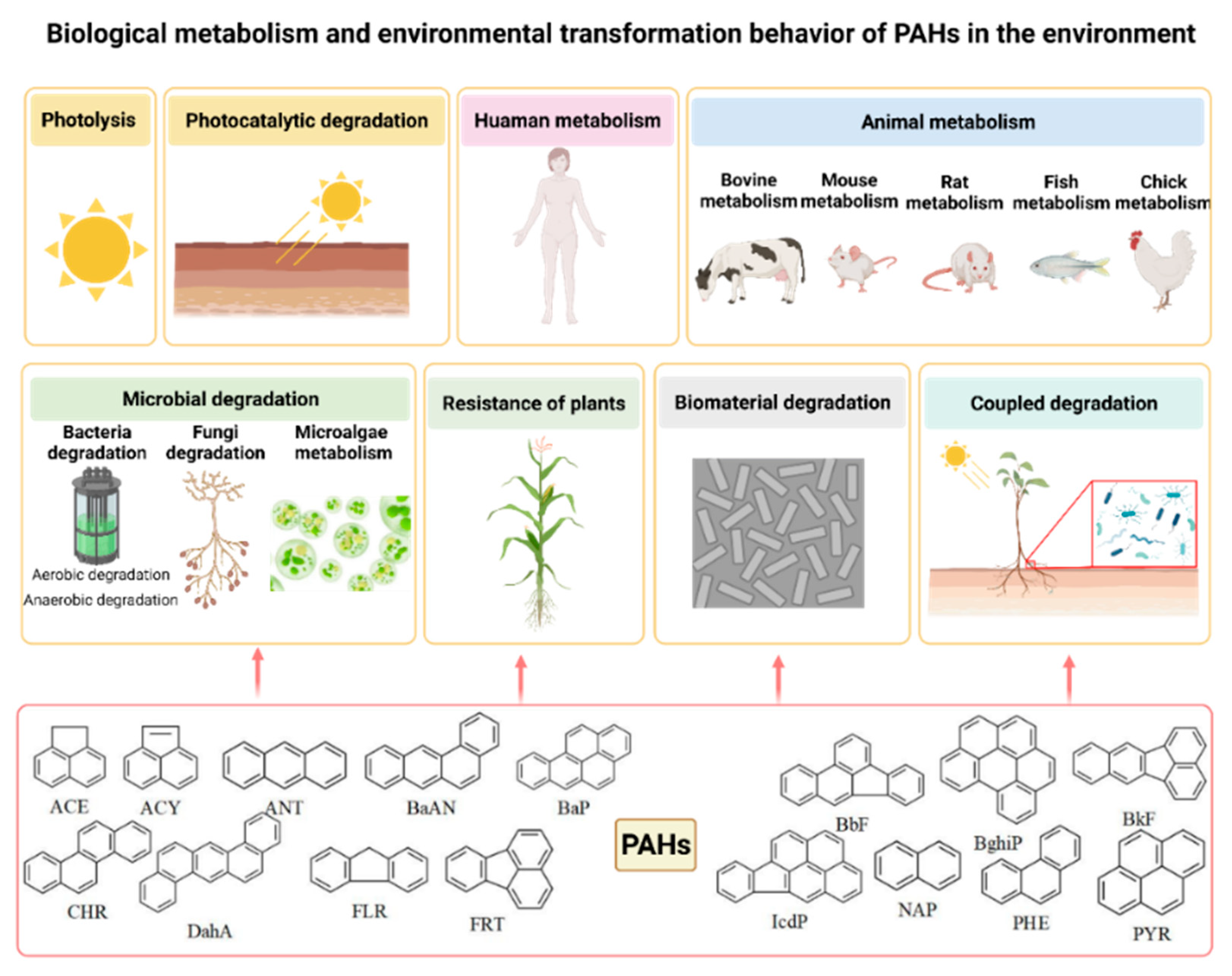 Ijerph 19 10972 g001
