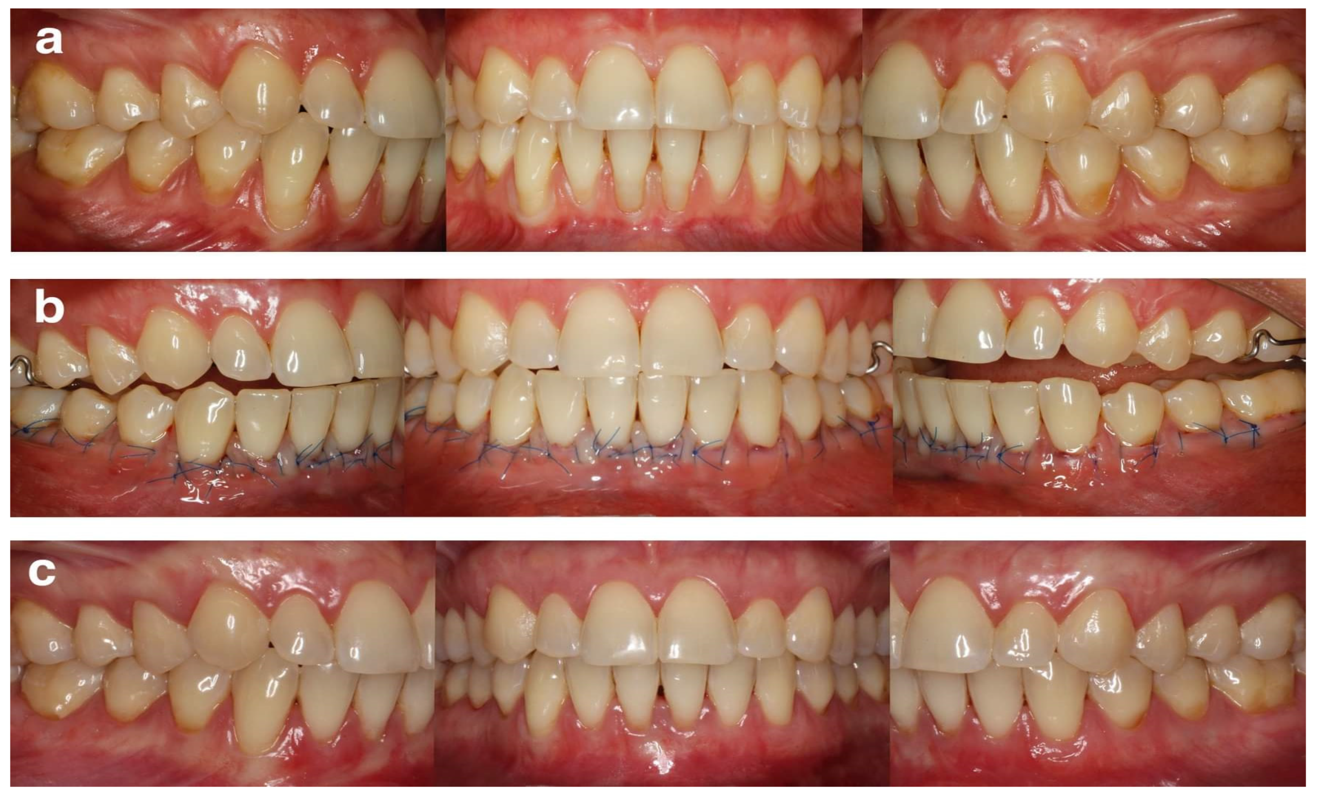 Ijerph 19 11024 g002