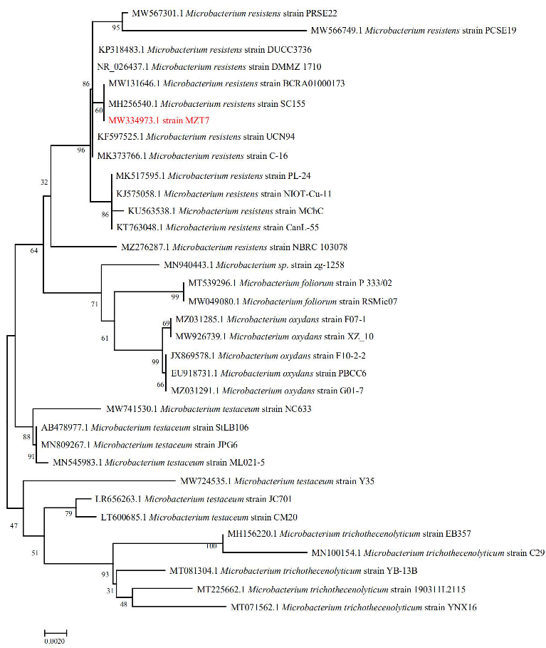 Ijerph 19 11097 g002