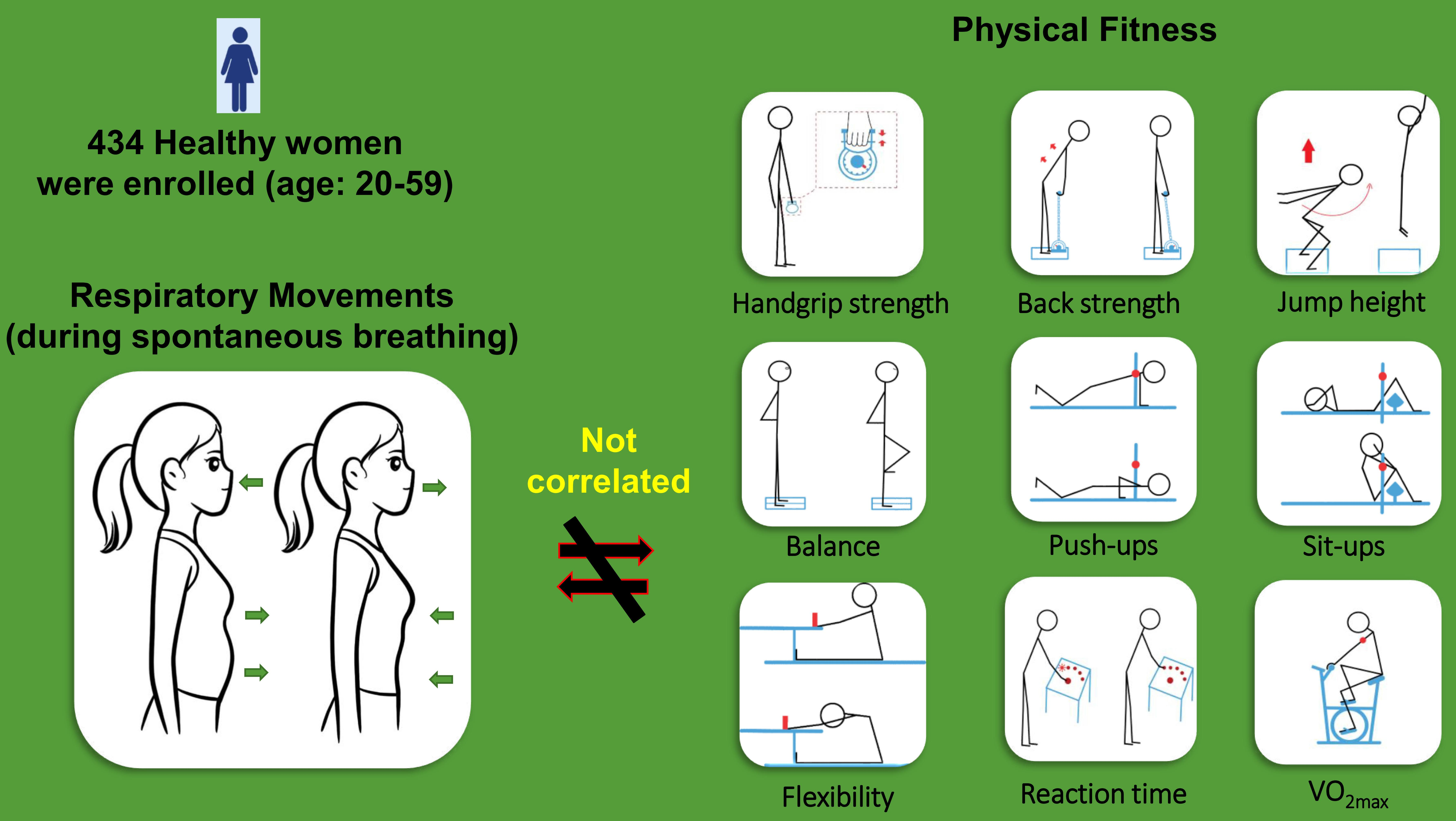 IJERPH | Free Full-Text | Women’s Respiratory Movements during  Spontaneous Breathing and Physical Fitness: A Cross-Sectional,  Correlational Study