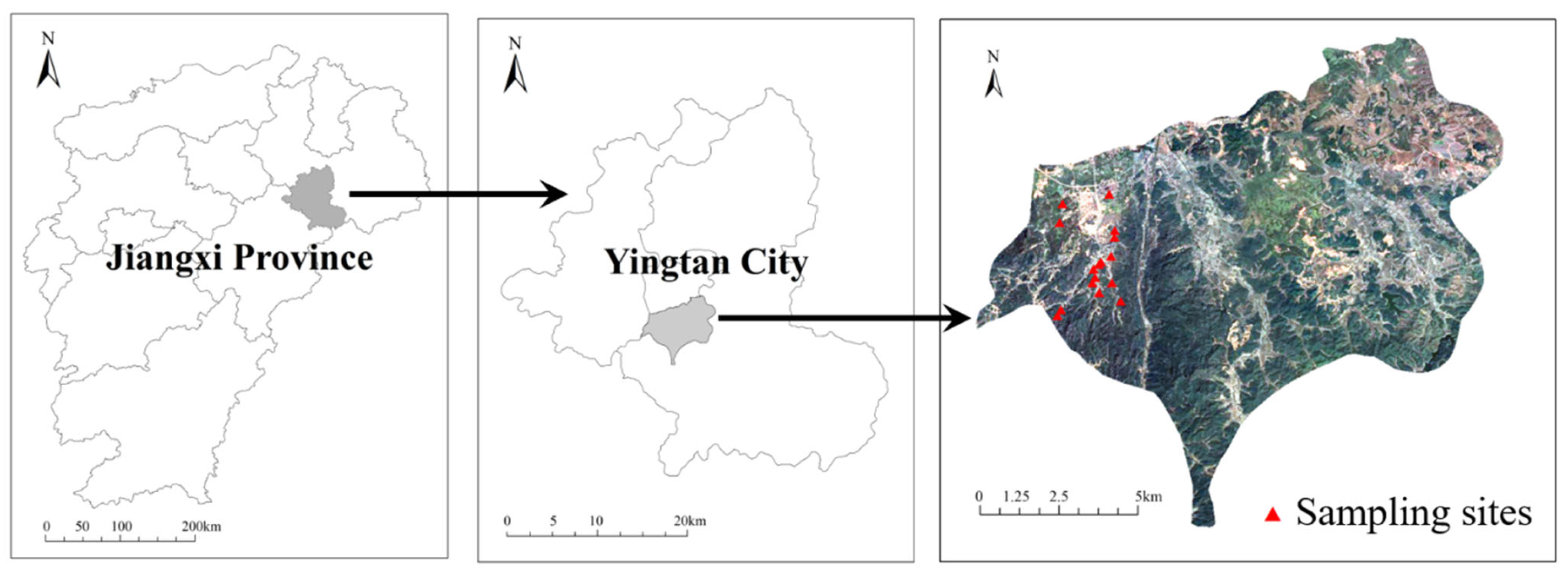 IJERPH | Free Full-Text | Assessment of Cd Pollution in Paddy 