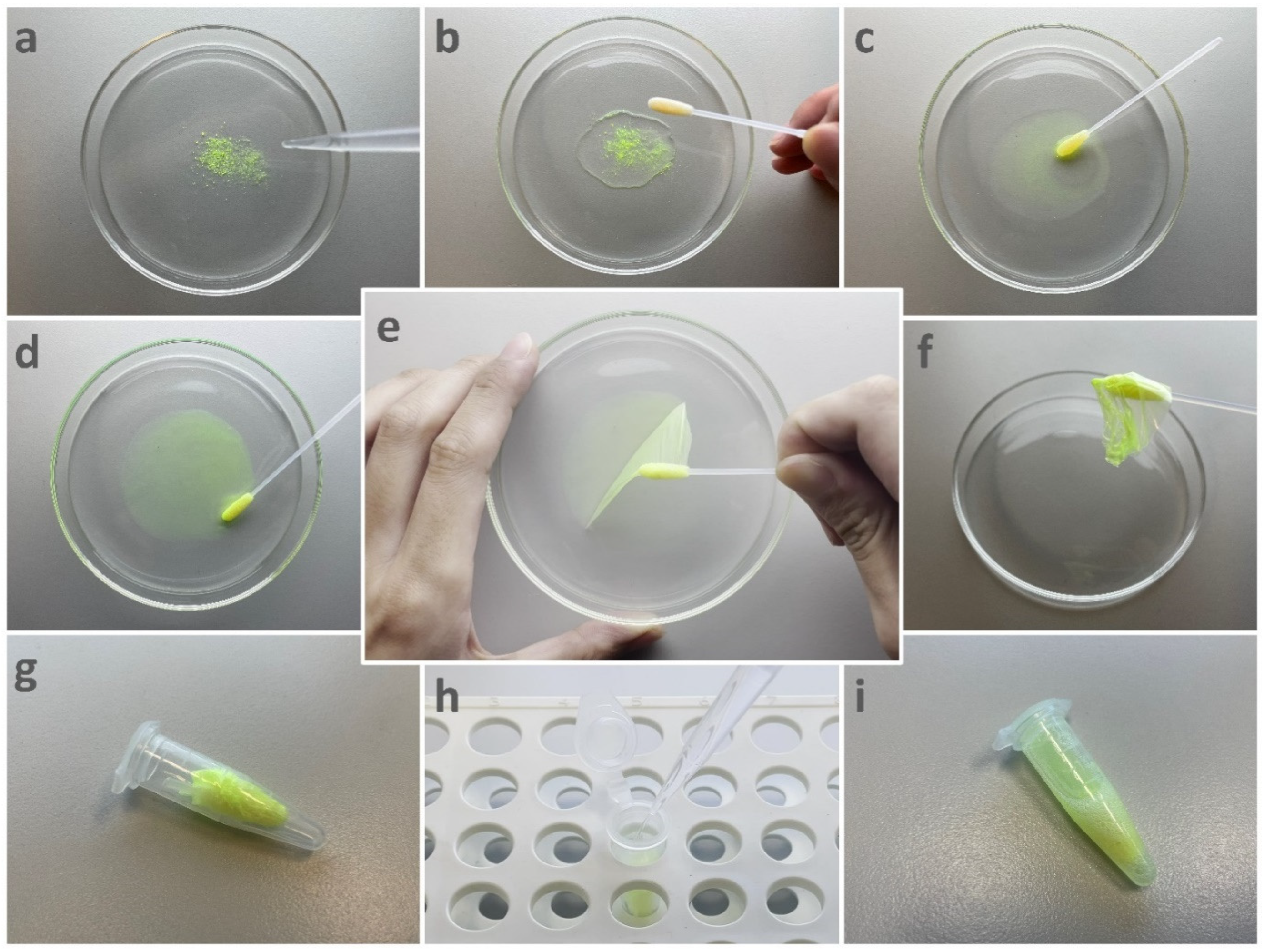 Ijerph 19 12571 g002