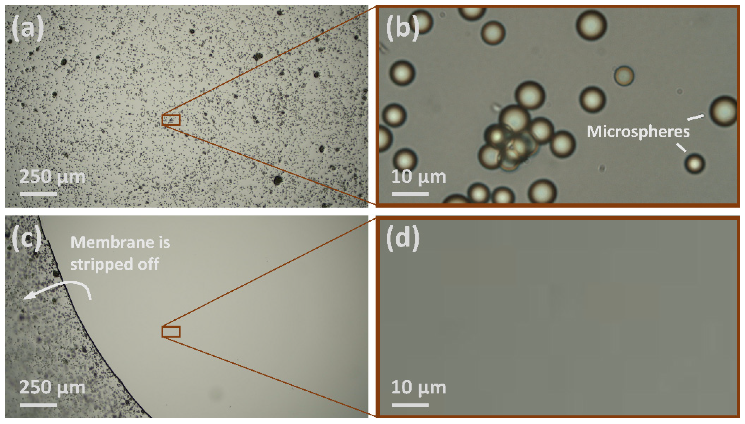 Ijerph 19 12571 g003