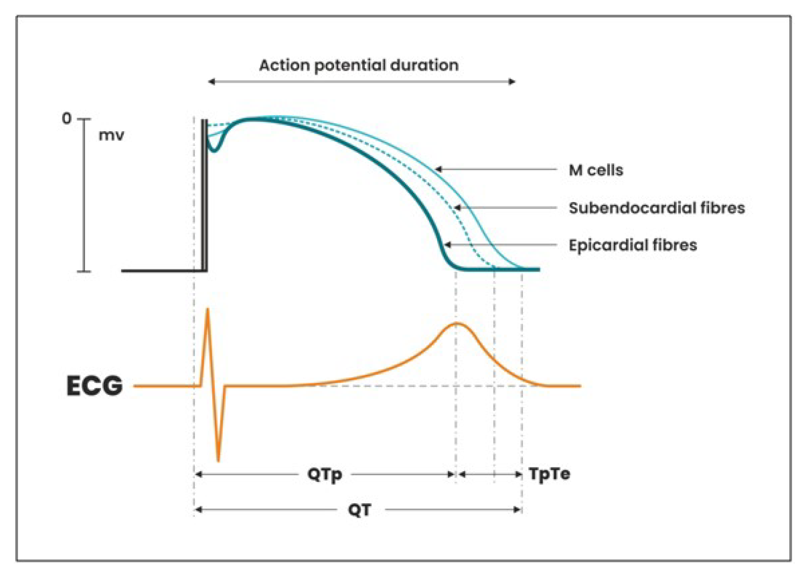 Ijerph 19 12638 g001 Ijerph 19 12638 g001
