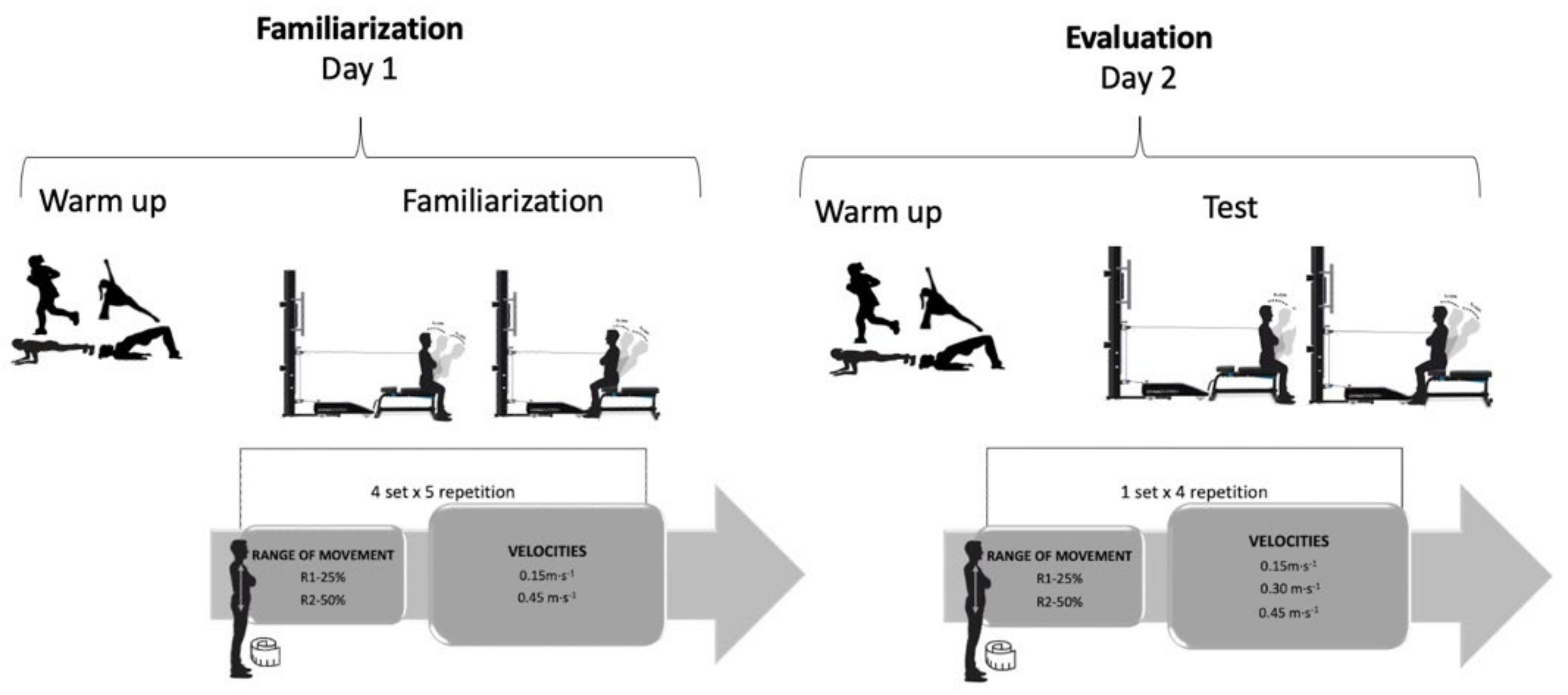 Association between trunk muscle mass and log for visual analog scale