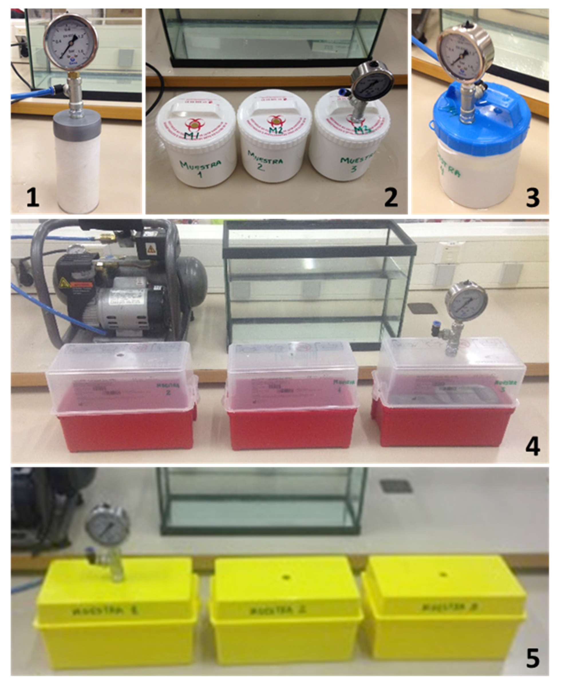 Ijerph 19 12989 g003