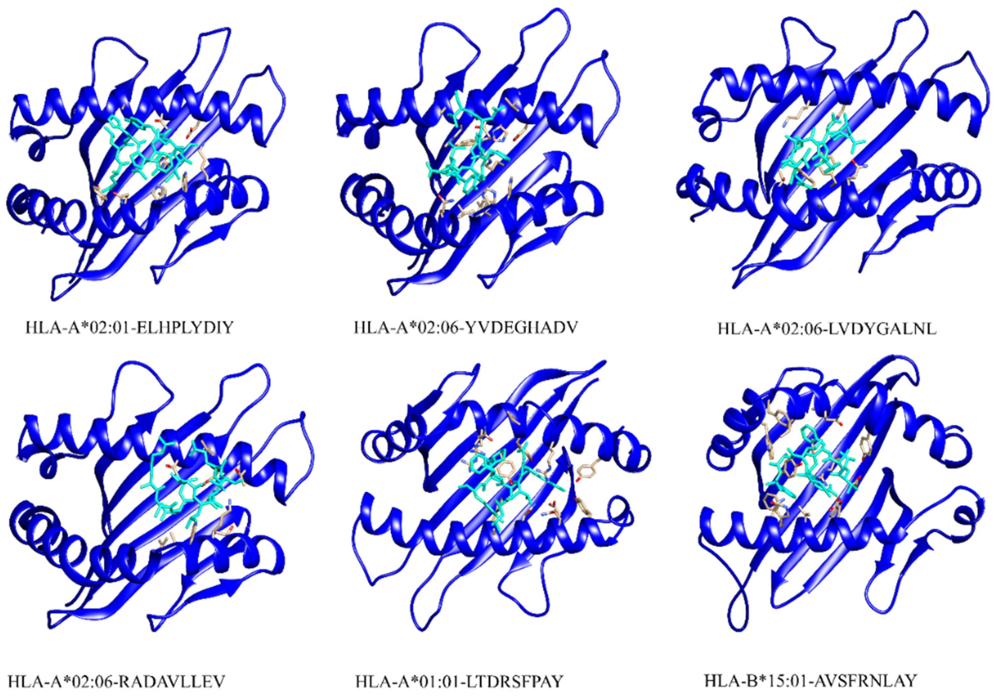 Ijerph 19 13054 g003 Ijerph 19 13054 g003