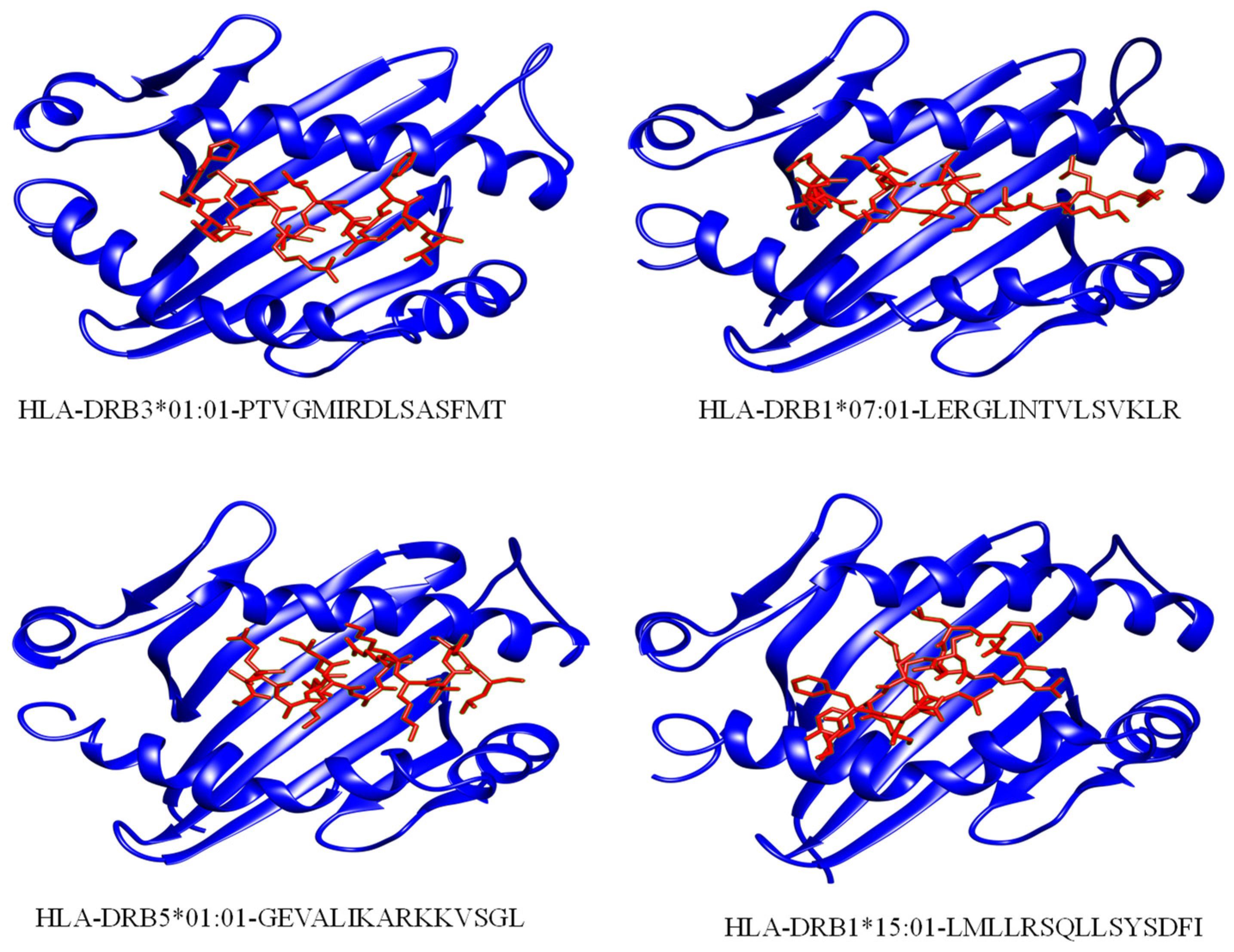 Ijerph 19 13054 g004 Ijerph 19 13054 g004