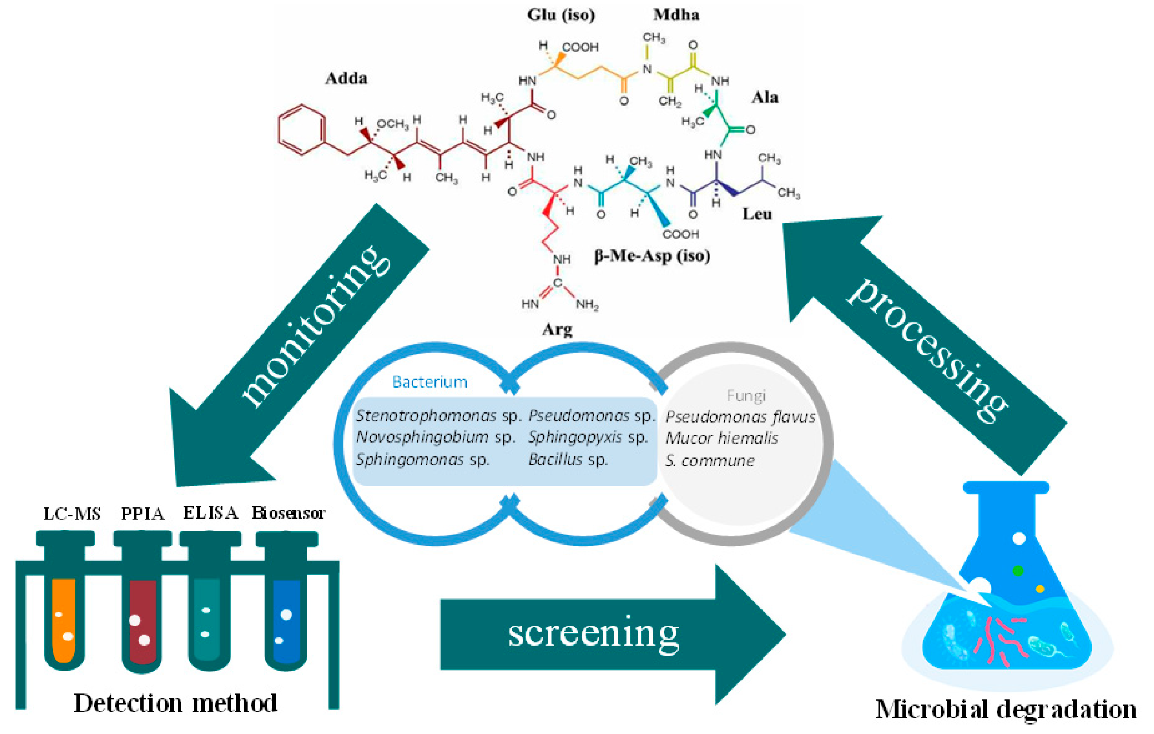 Ijerph 19 13175 g002 Ijerph 19 13175 g002
