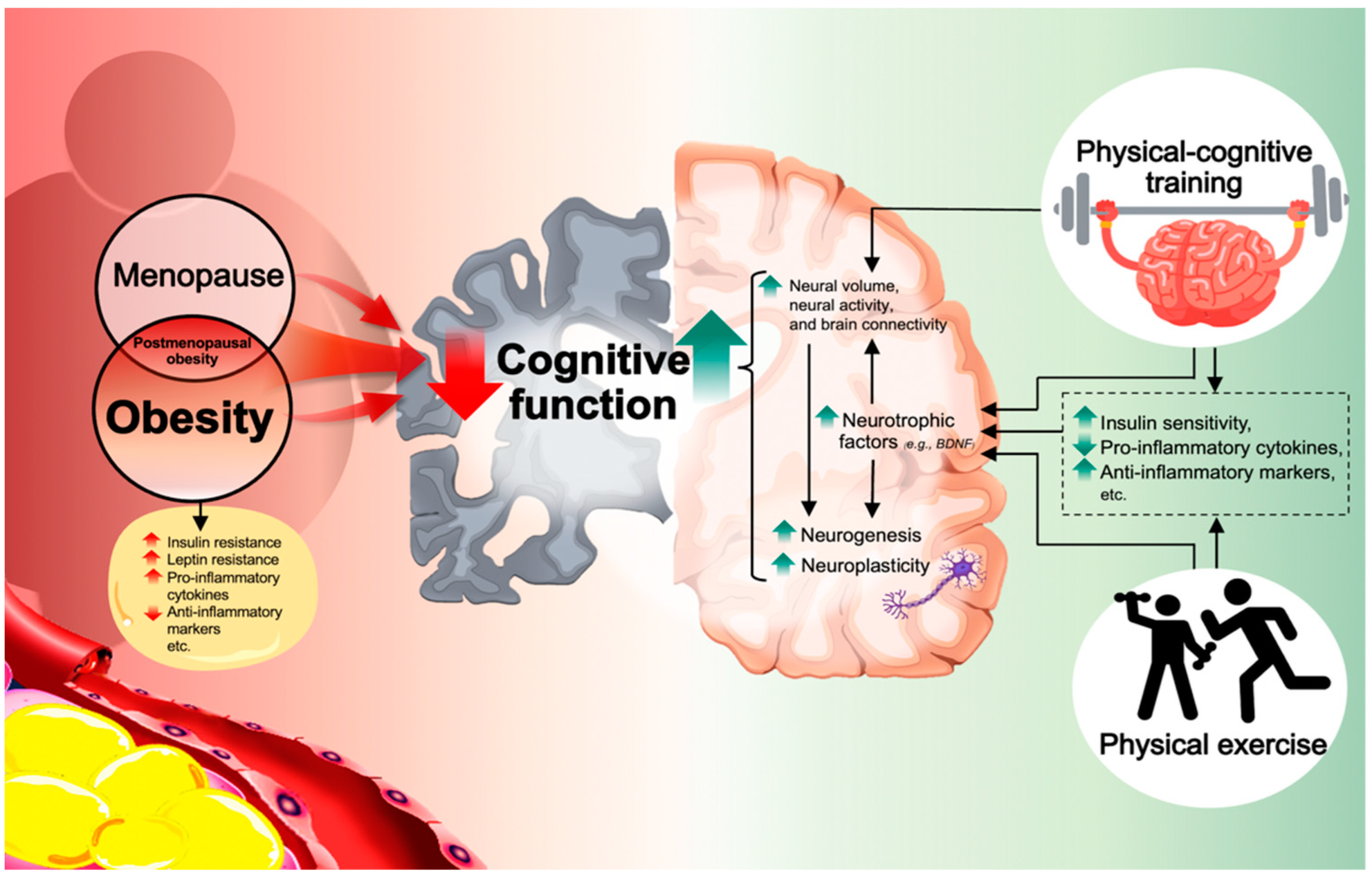 Cognitive function enhancement activities