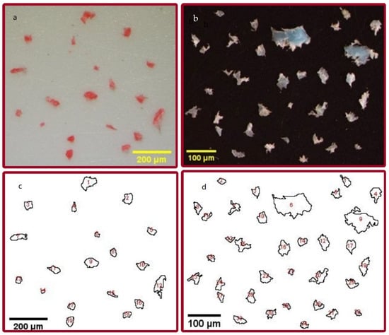 Electron Microscopy Sciences Polypropylene Cutting Board