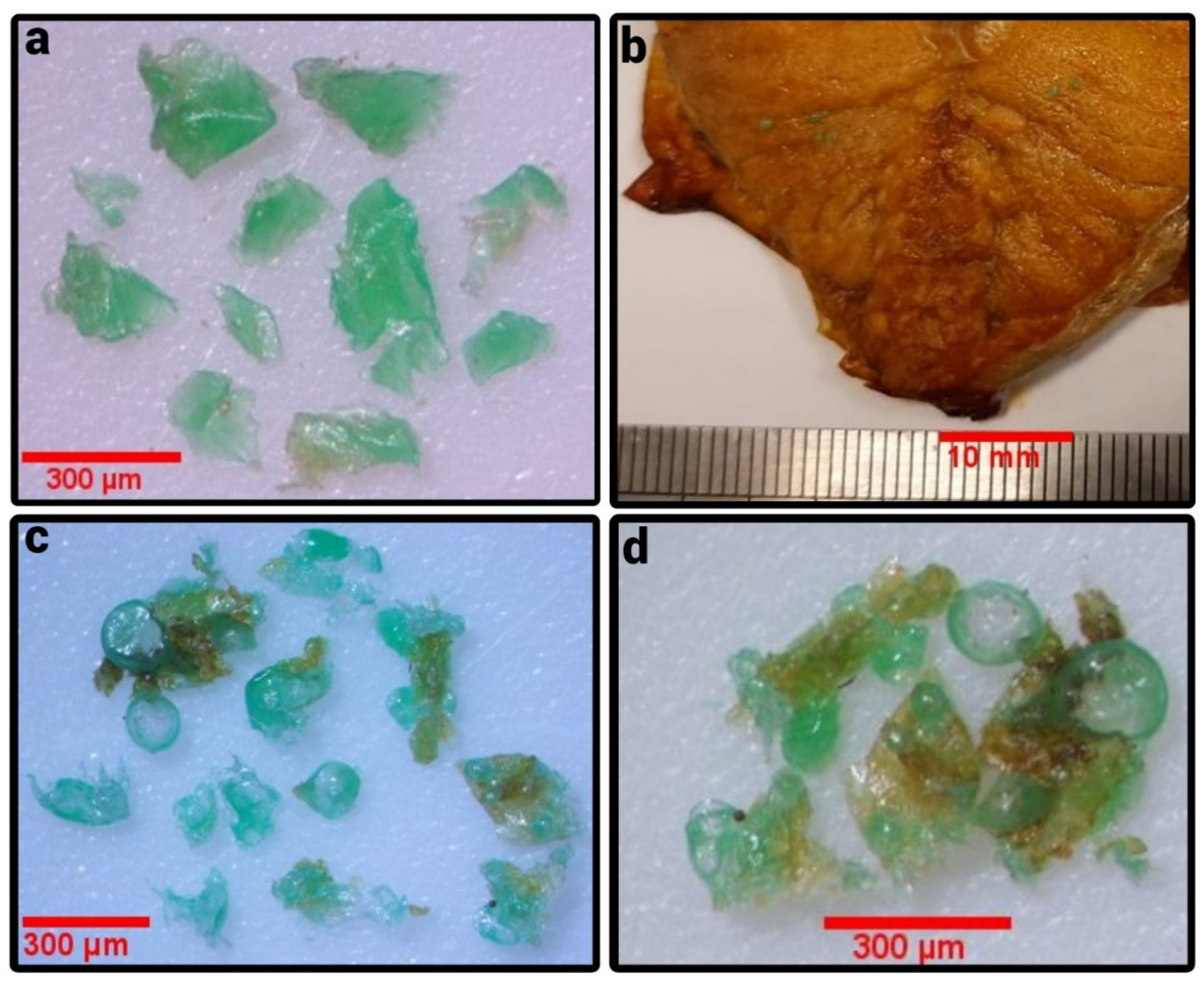 Ijerph 19 13442 g003 Ijerph 19 13442 g003