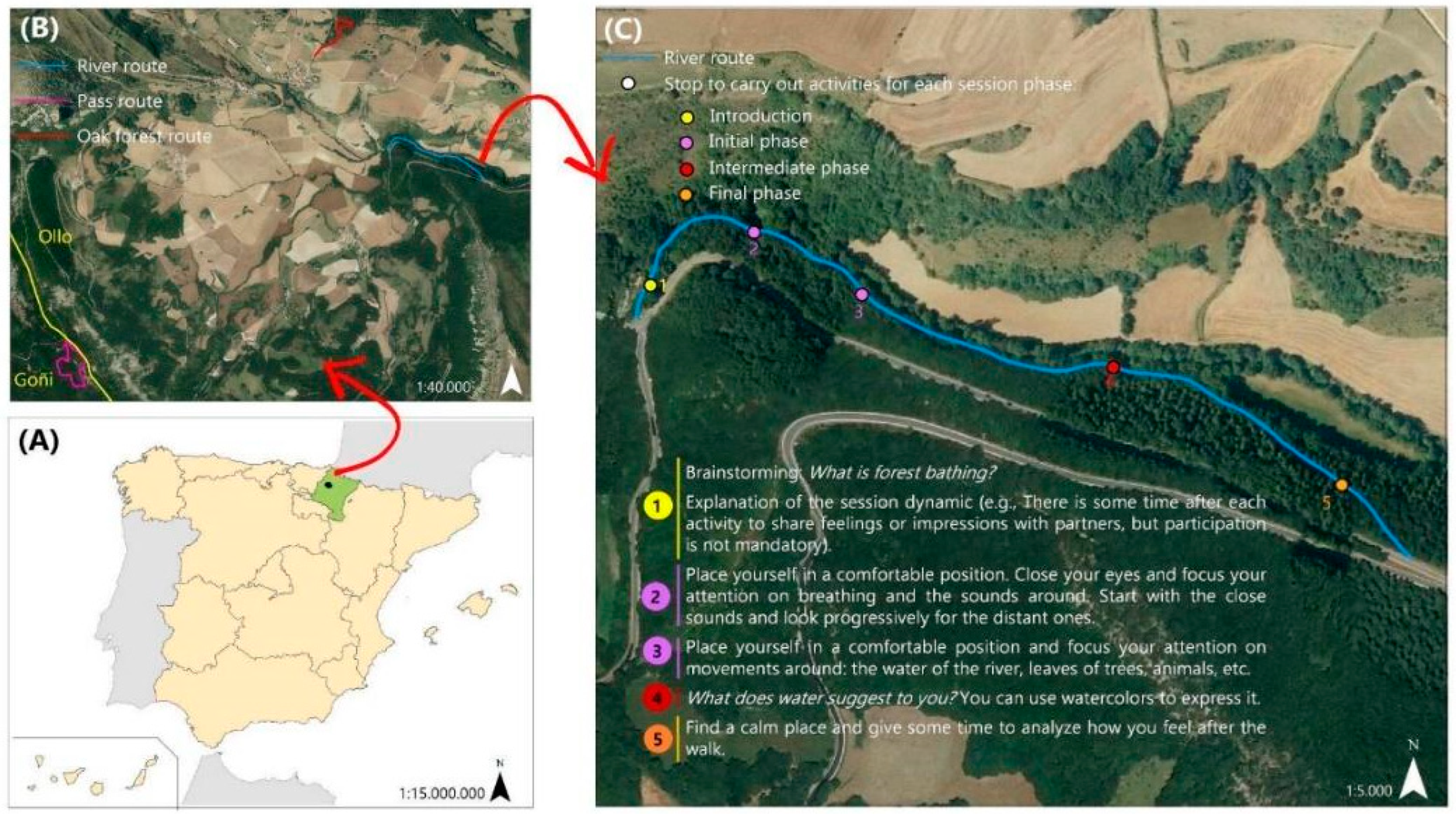 Ijerph 19 13589 g001 Ijerph 19 13589 g001