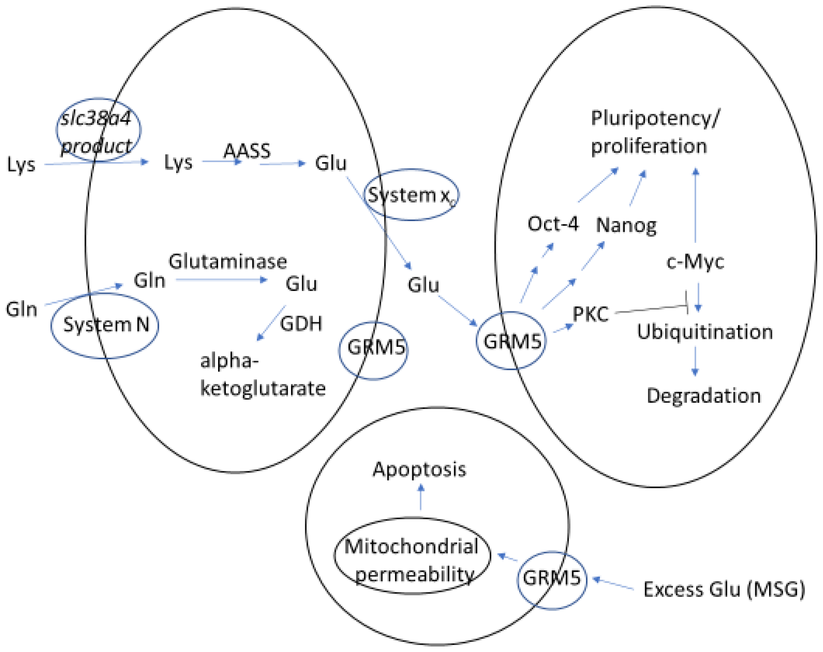 Ijerph 19 13611 g001 Ijerph 19 13611 g001