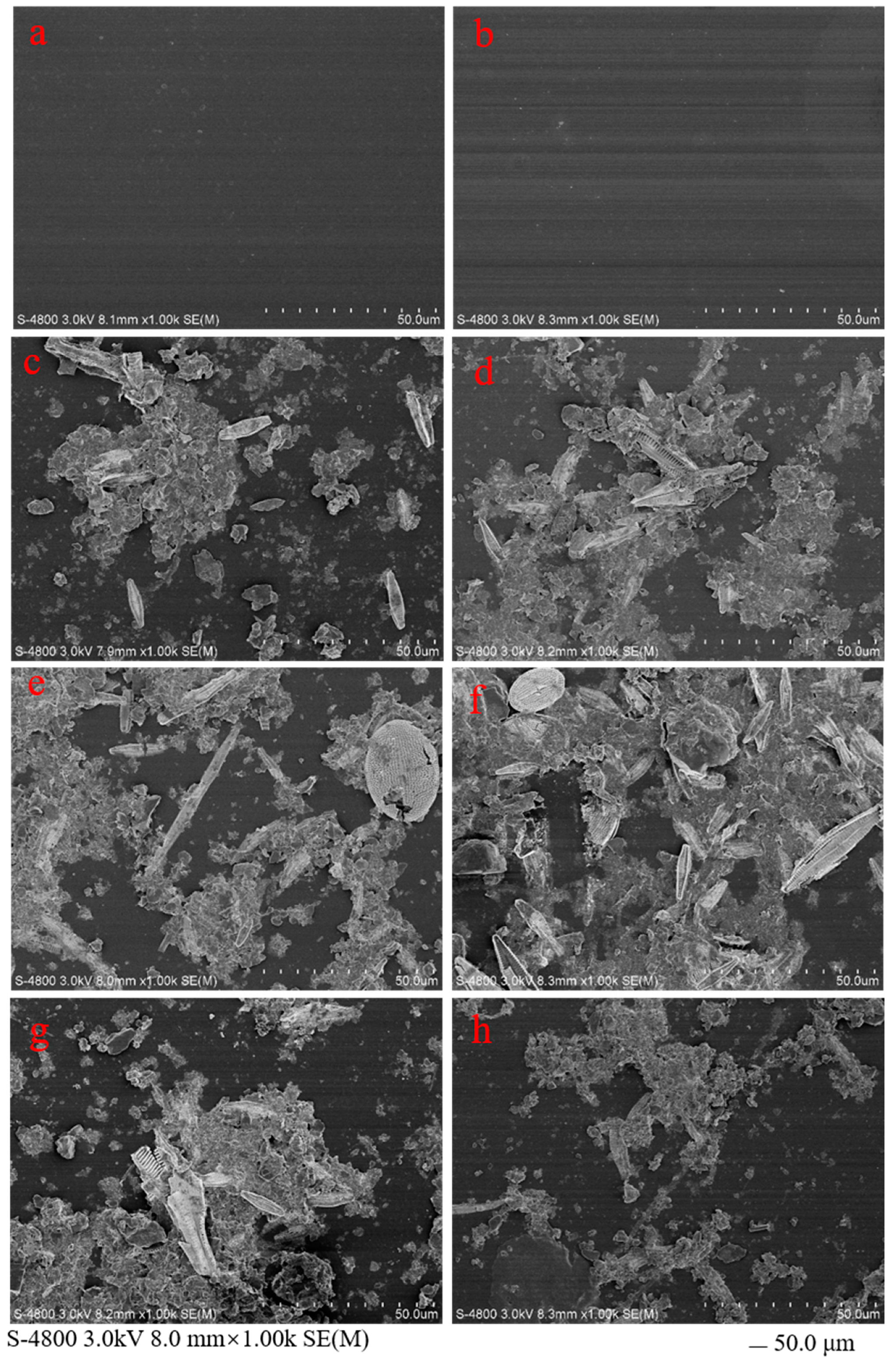 Ijerph 19 13752 g001 Ijerph 19 13752 g001