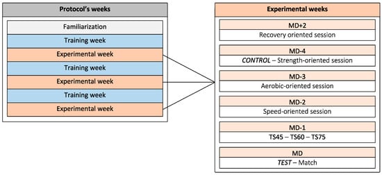 Periodisation for Soccer: Optimizing Training Microcycles