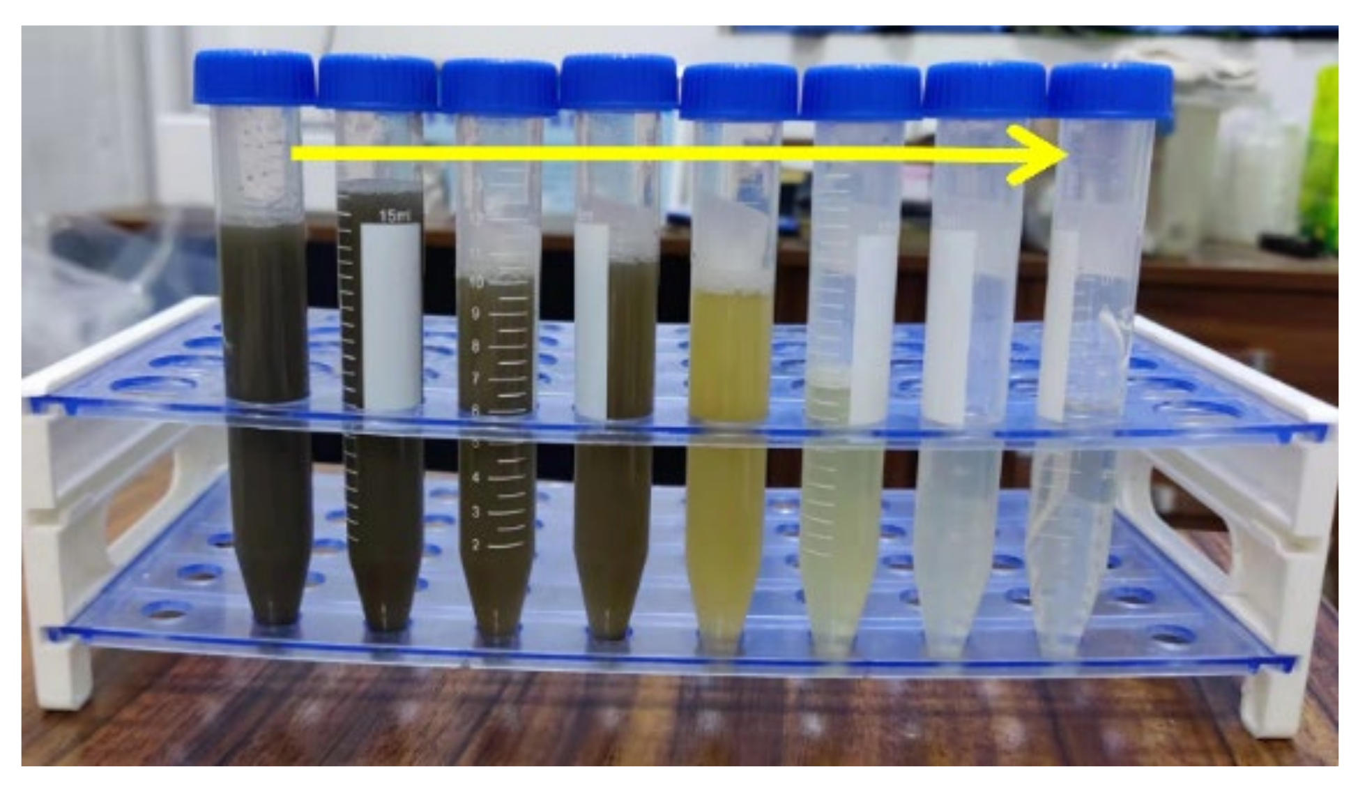 Ijerph 19 13840 g002