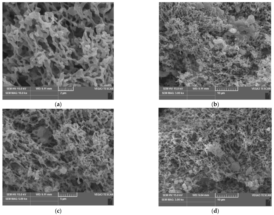 Ijerph 19 13867 g002