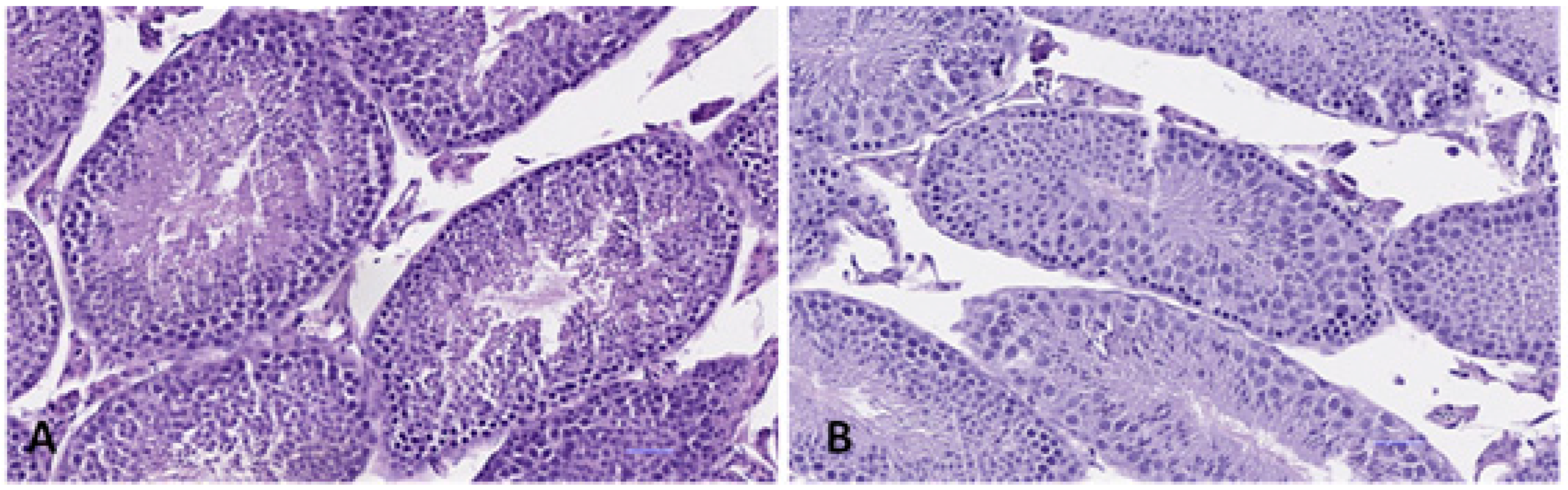 Ijerph 19 13894 g011