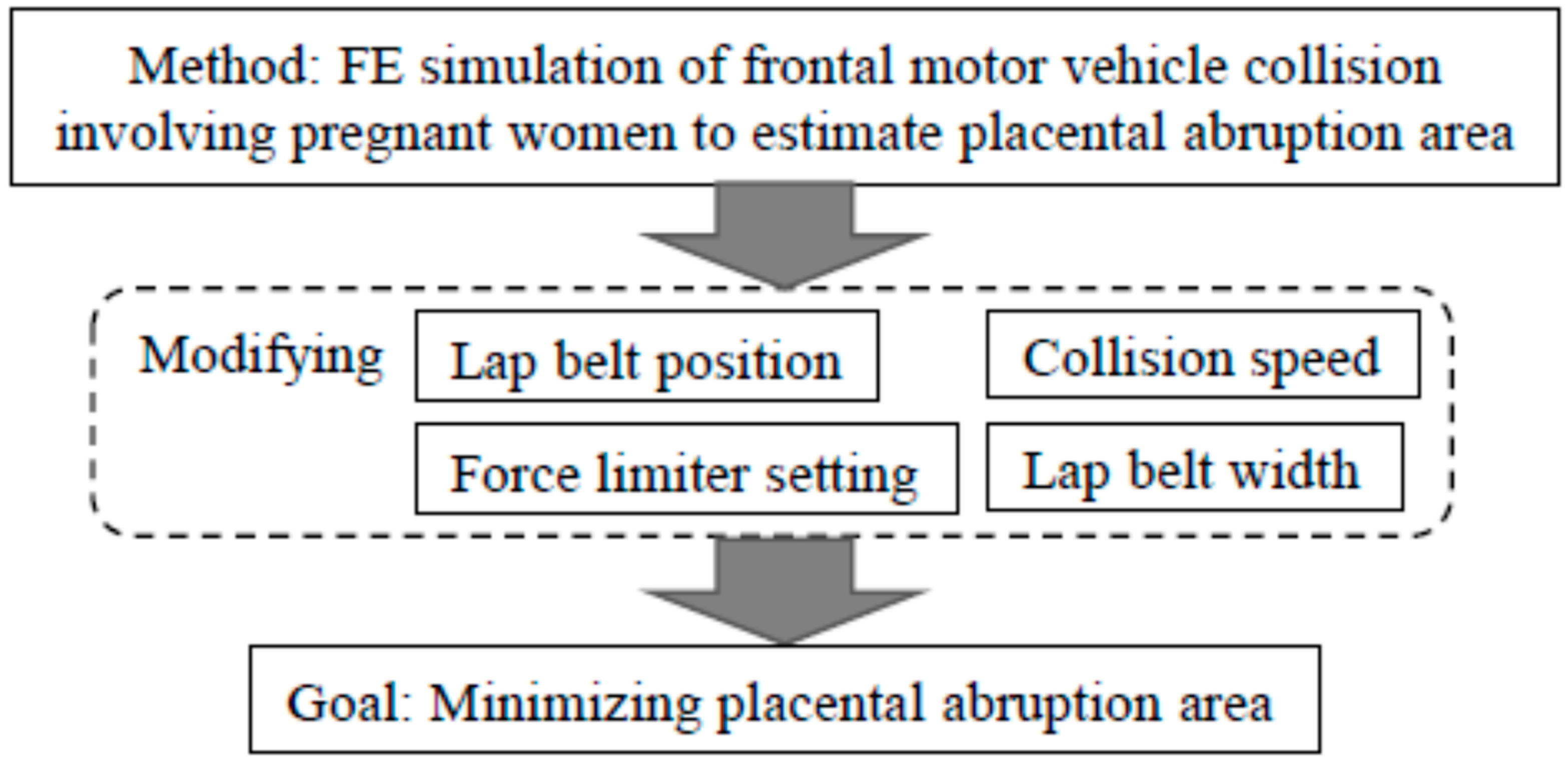 IJERPH Free Full-Text Severity of Placental Abruption in Restrained Pregnant Vehicle Drivers Correct Seat Belt Use Confirmed by Finite Element Model Analysis