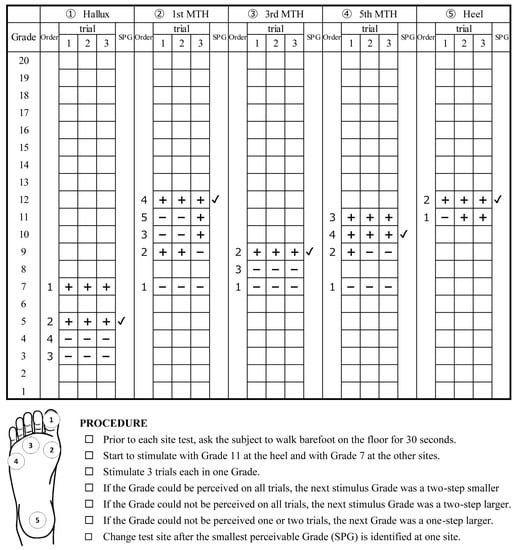 Semmes-Weinstein monofilament examination. The 5.07 monofilament