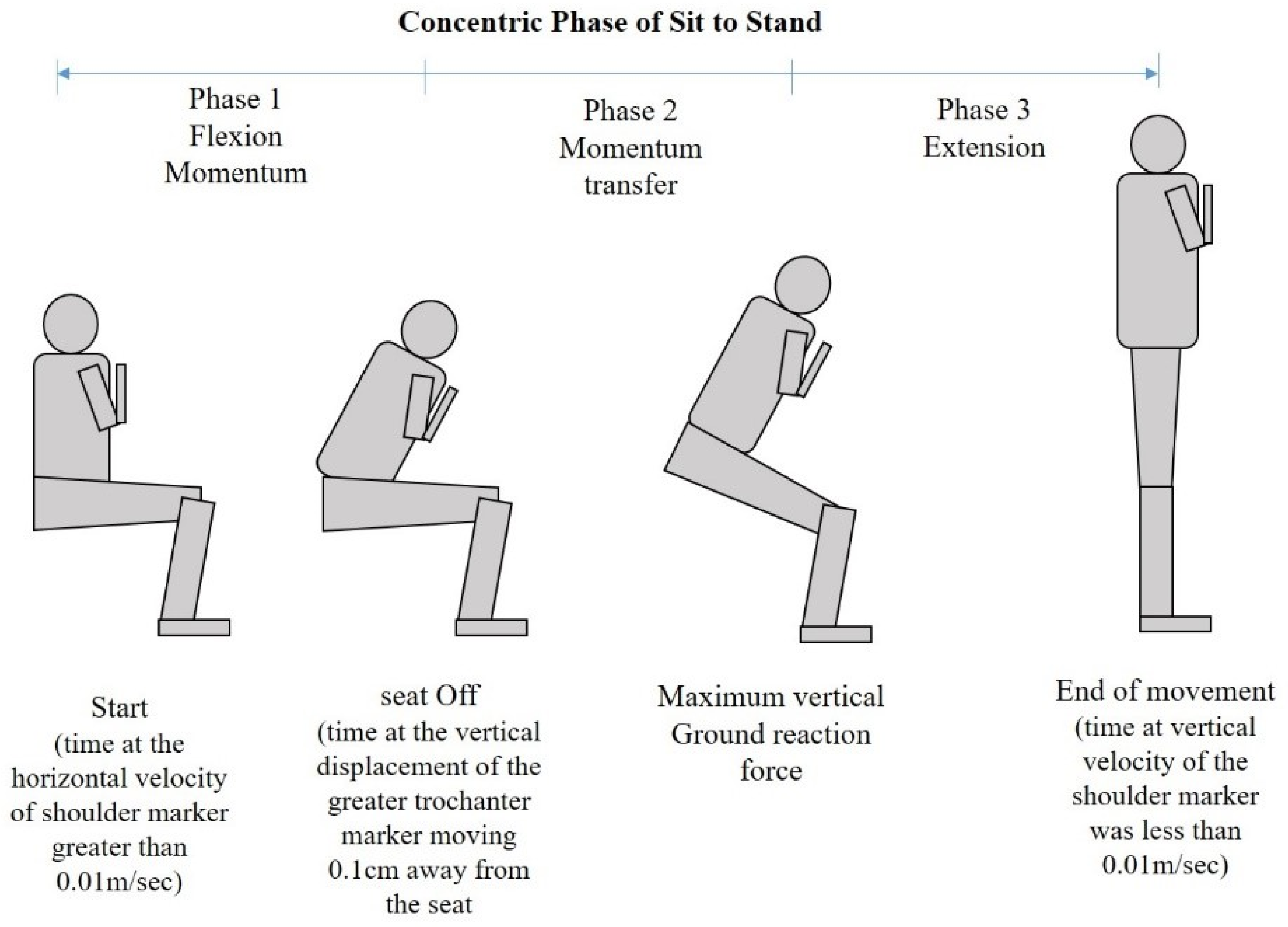 Rikli and Jones Test, PDF, Anatomical Terms Of Motion