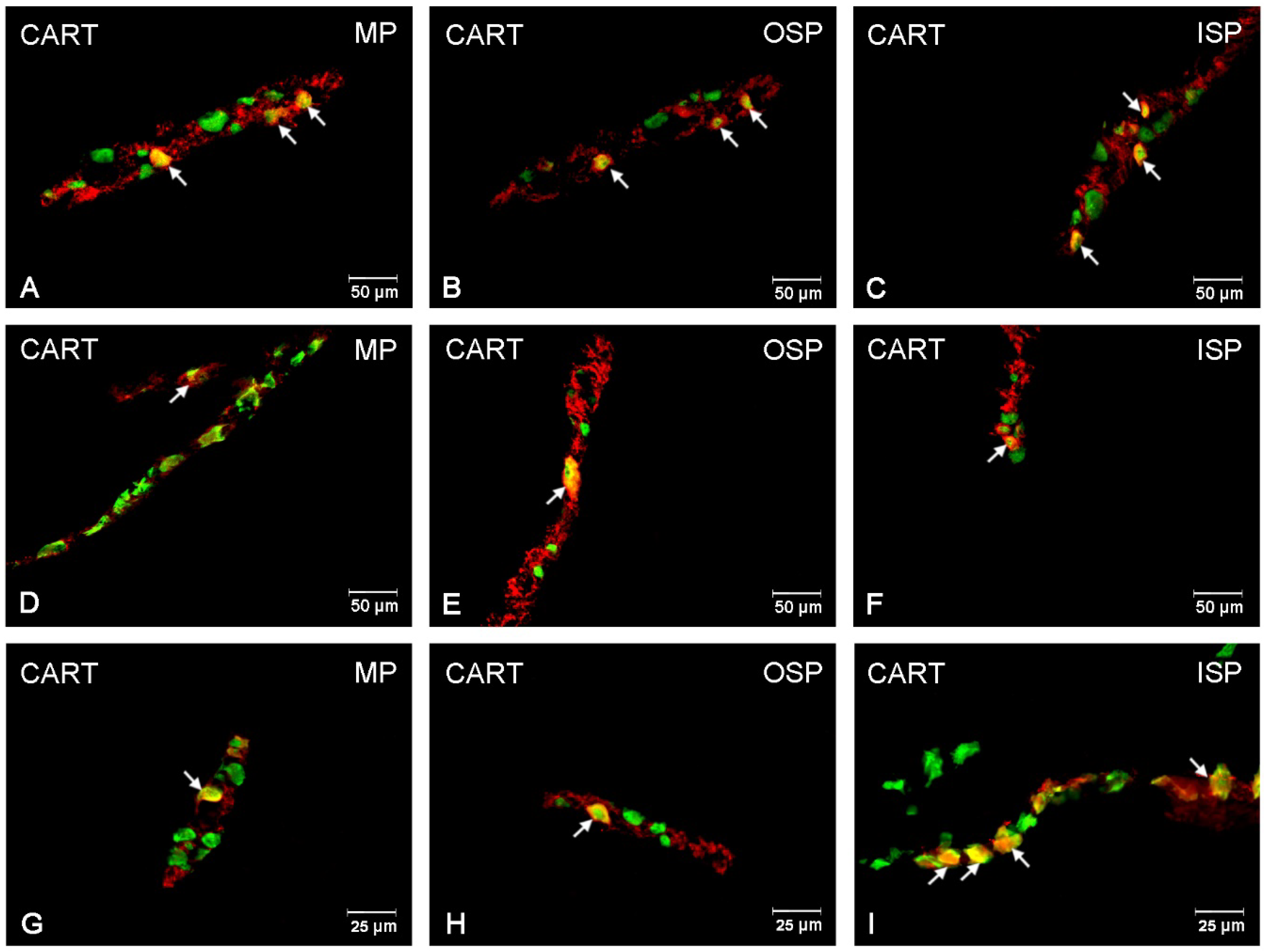 Ijerph 19 14514 g002 Ijerph 19 14514 g002
