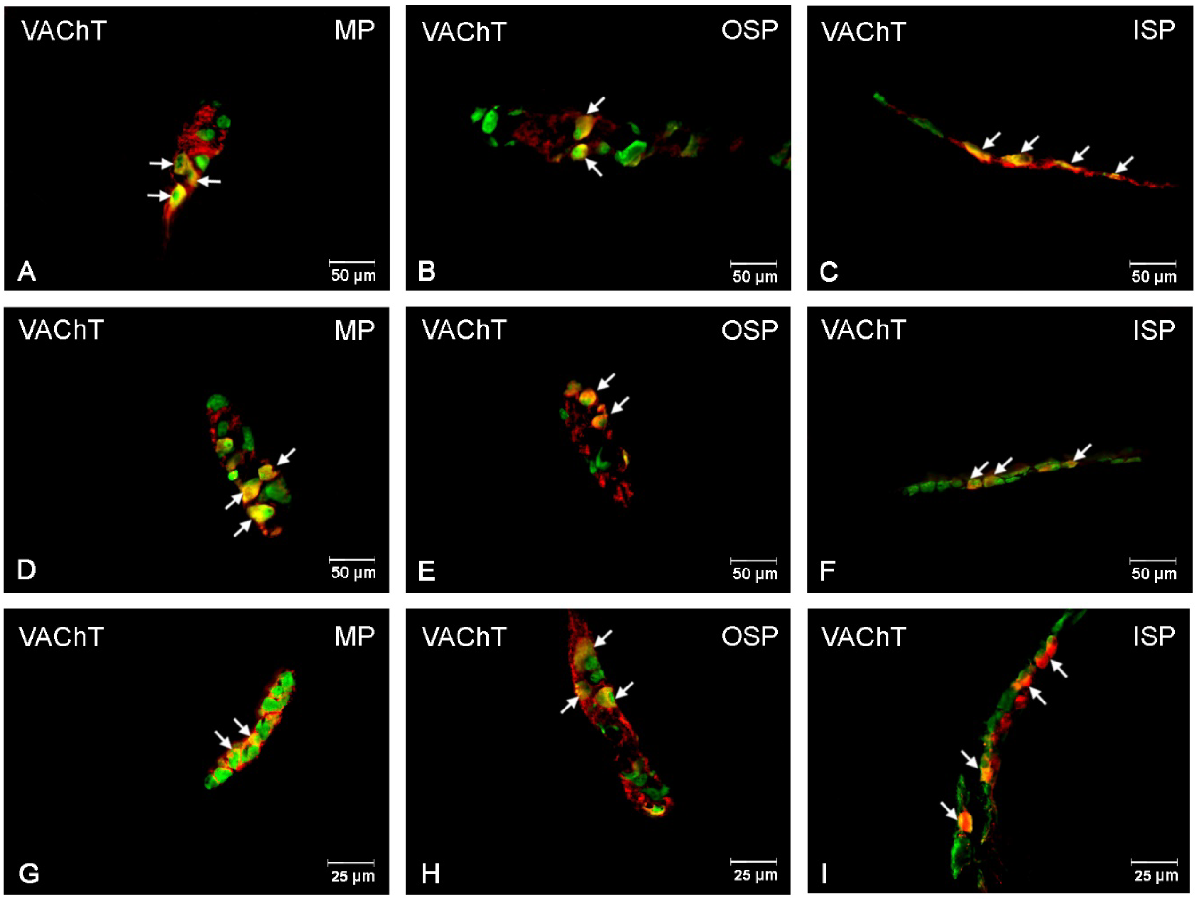 Ijerph 19 14514 g004 Ijerph 19 14514 g004