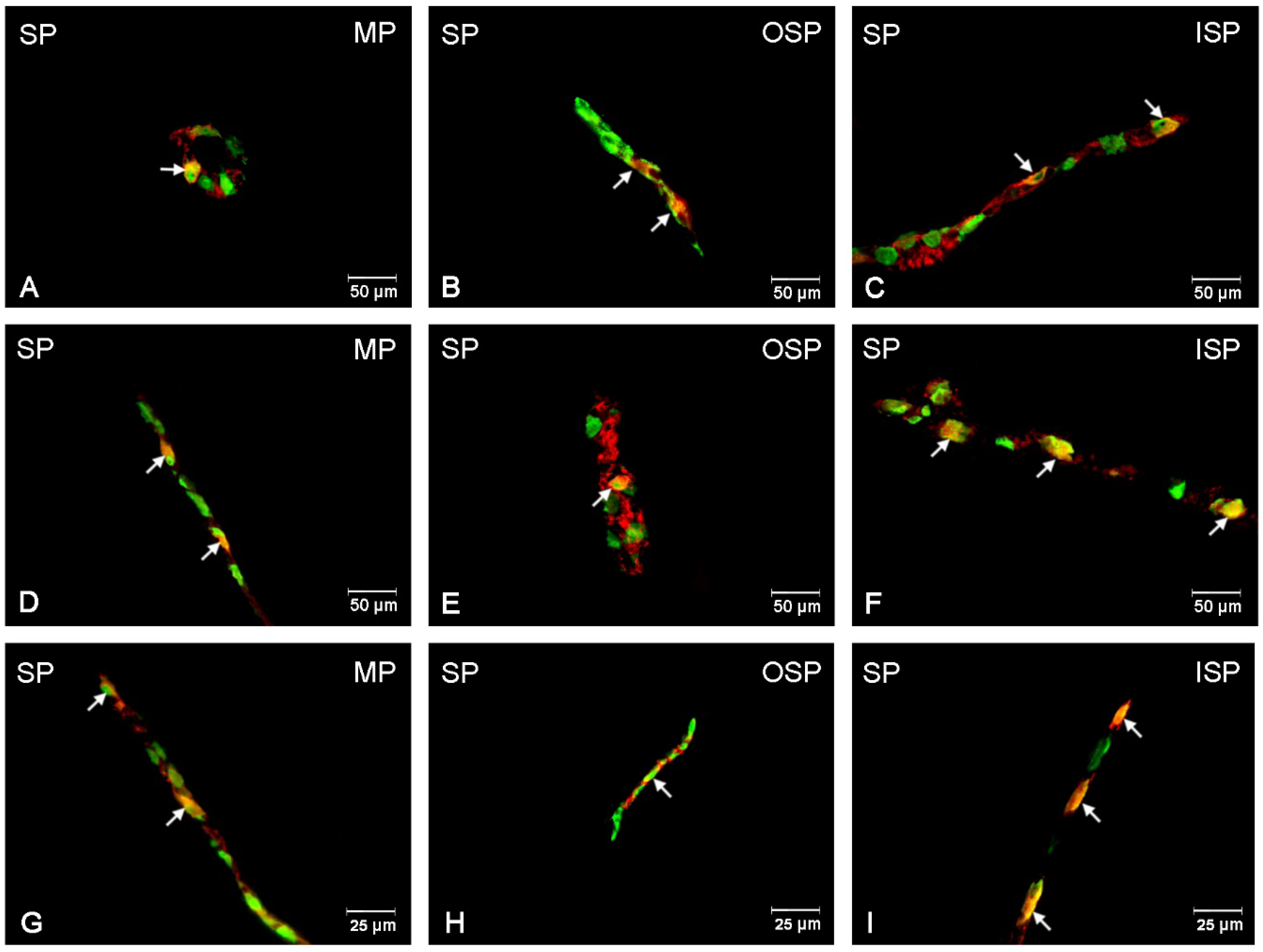 Ijerph 19 14514 g010 Ijerph 19 14514 g010