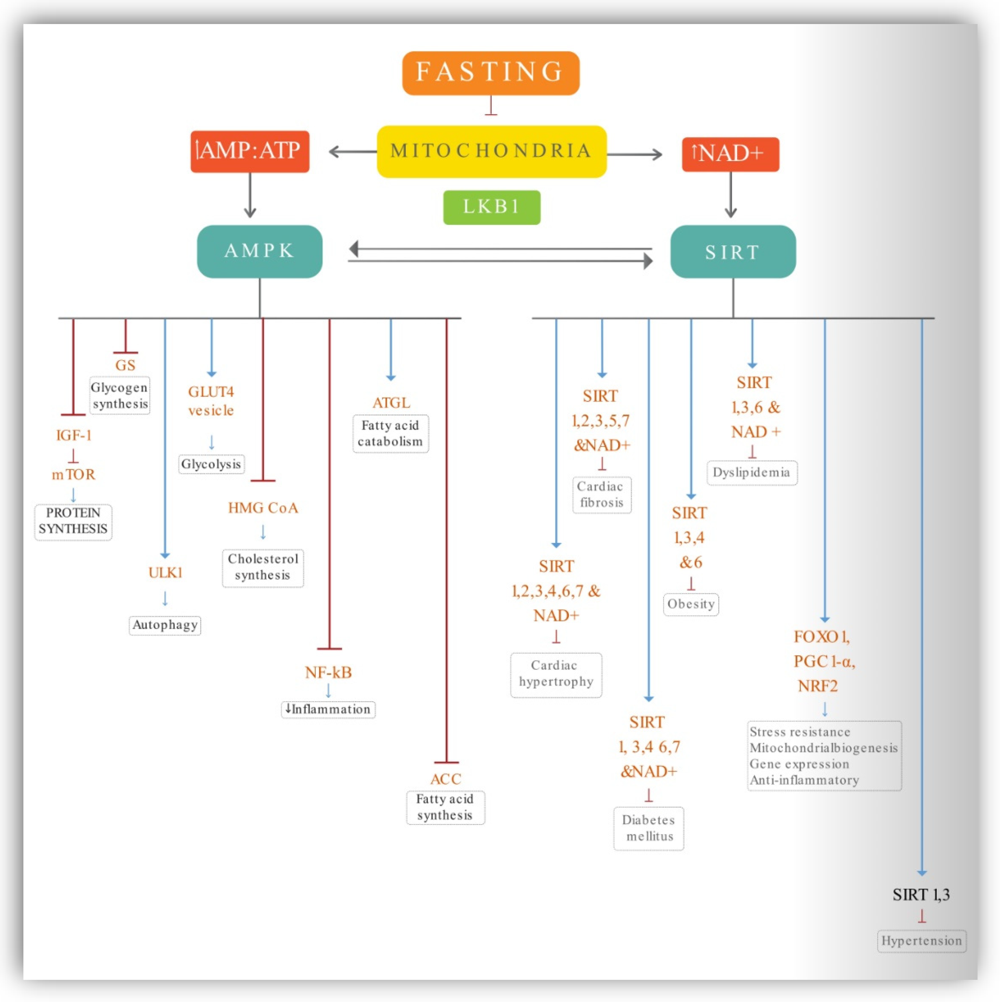 Ijerph 19 14536 g002 Ijerph 19 14536 g002