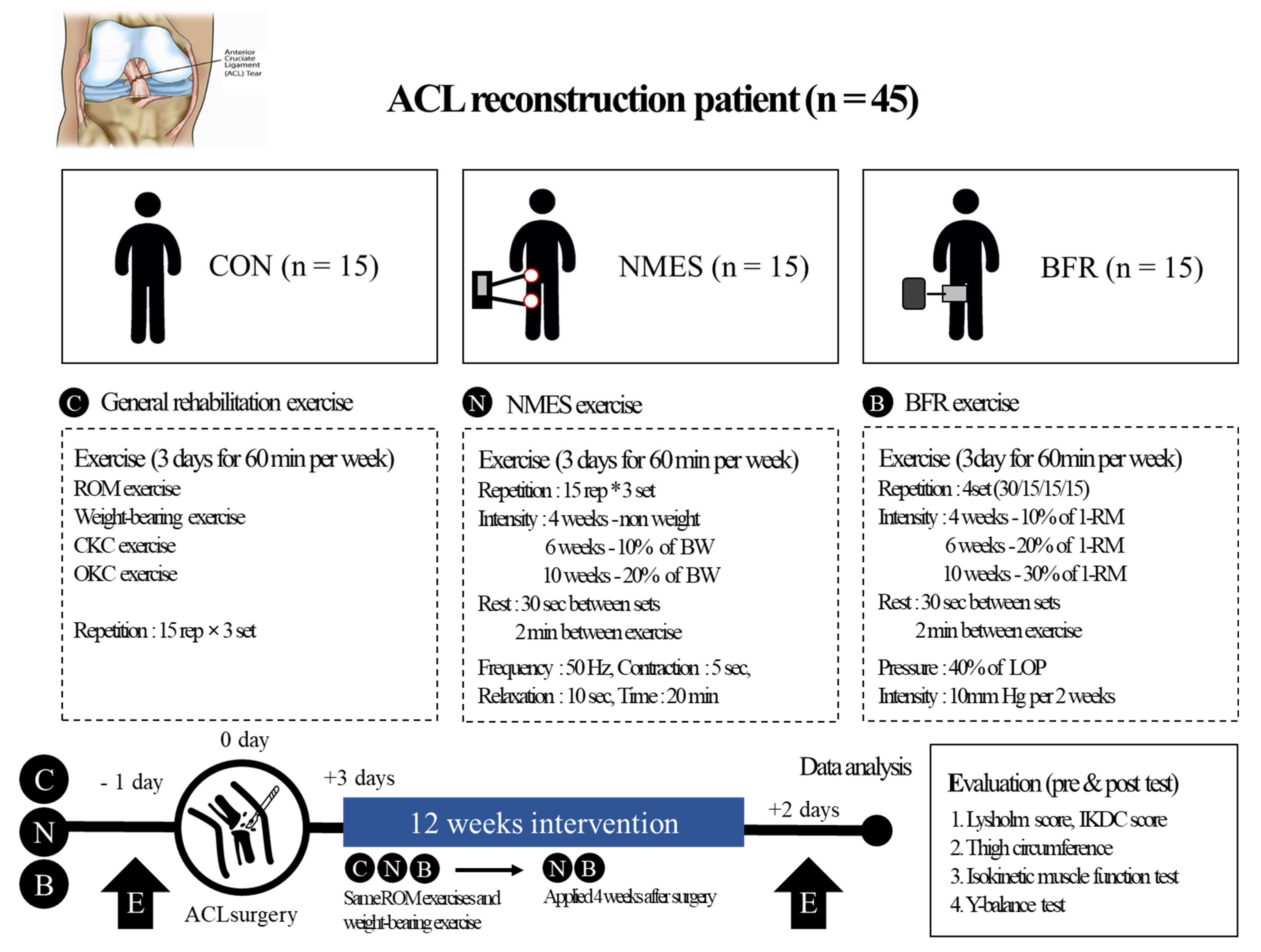 Neuromuscular Electrical Stimulation Therapy to Restore Quadriceps Muscle  Function in Patients After Orthopaedic Surgery: A Novel Structured  Approach.