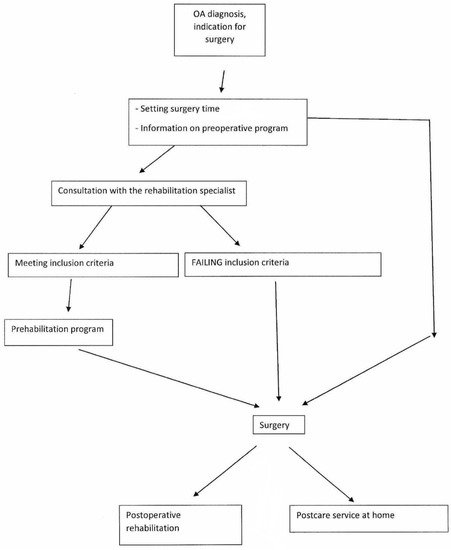 Best Exercises After Knee Replacement for a Speedy Recovery Physical  Therapy Simplified