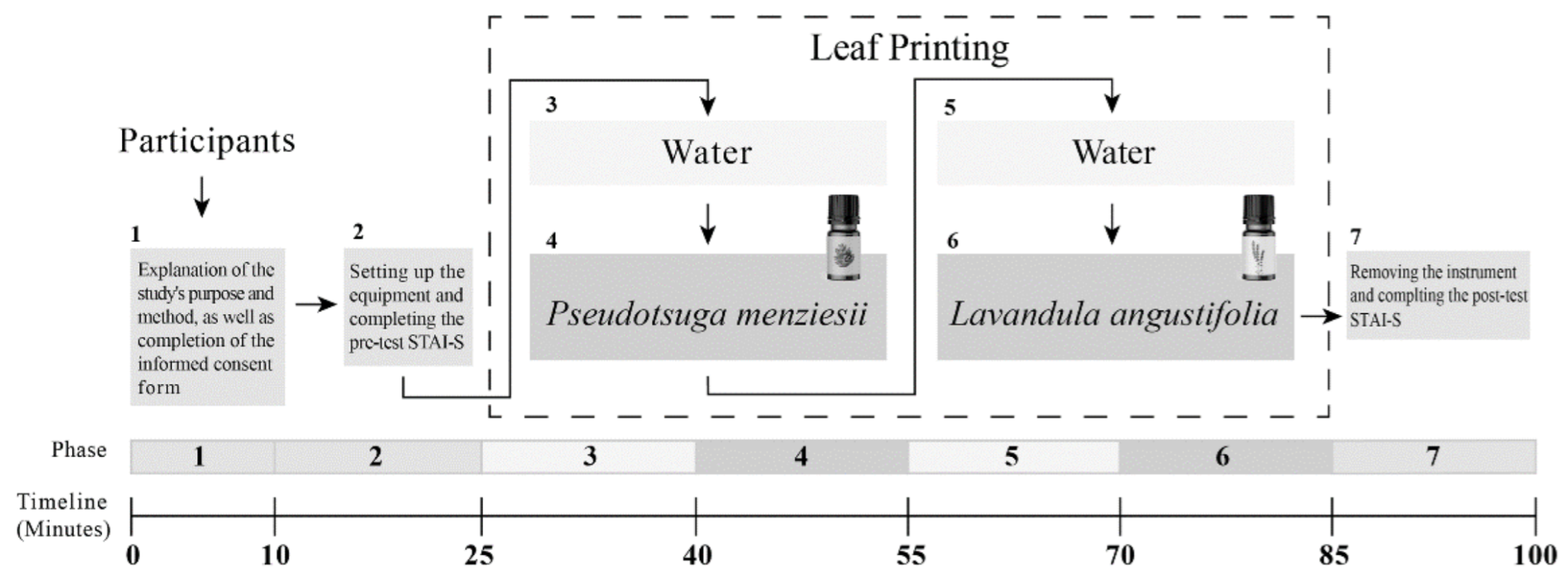 Ijerph 19 15251 g001 Ijerph 19 15251 g001